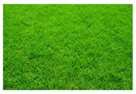 Applsci 15 03483 i002