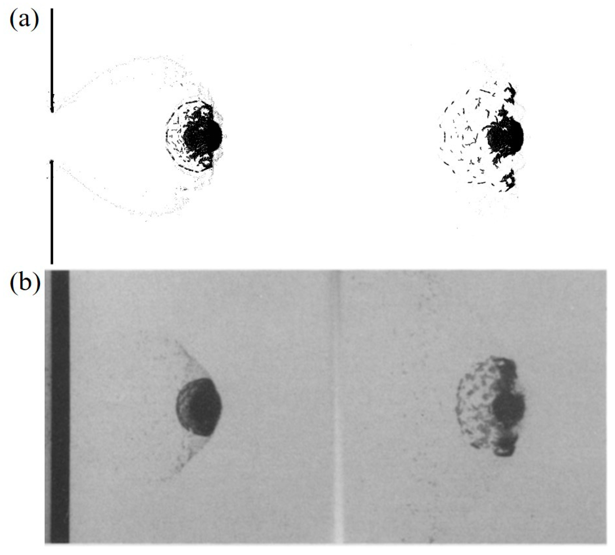 Applsci 15 03498 g003