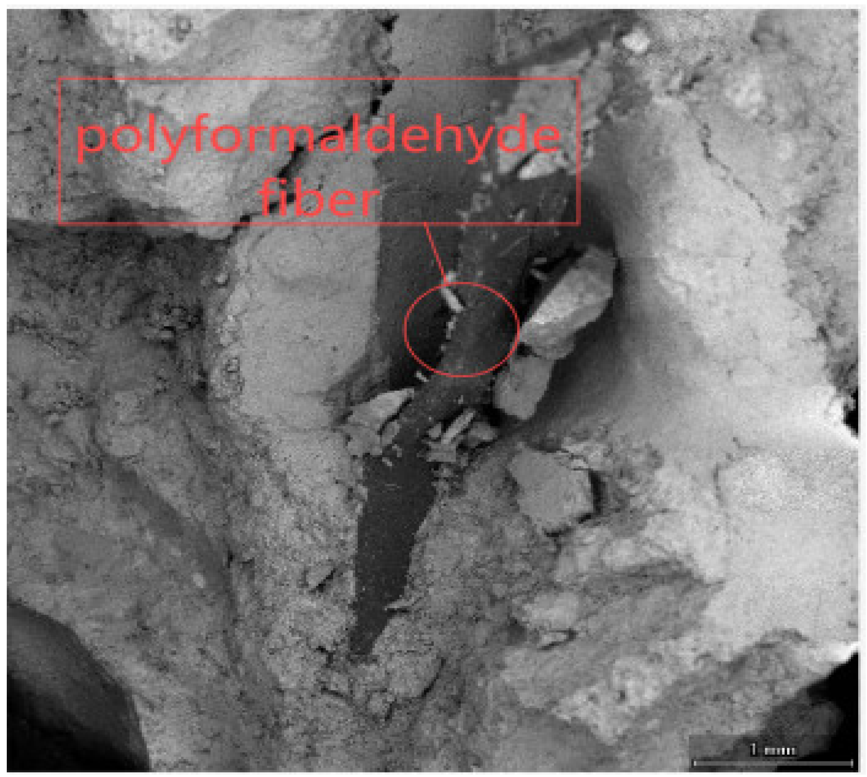 Applsci 15 03503 g007