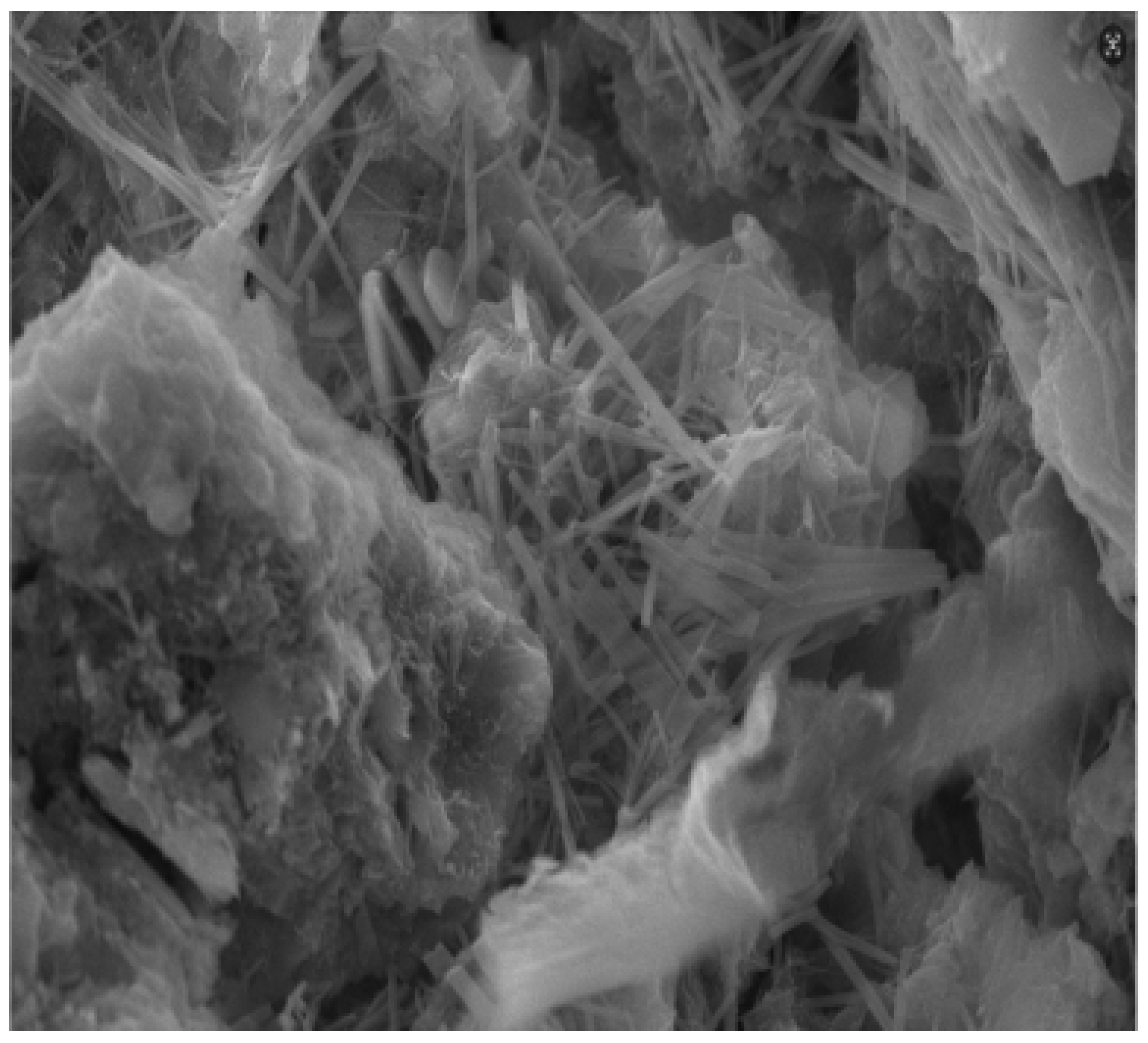 Applsci 15 03503 g008