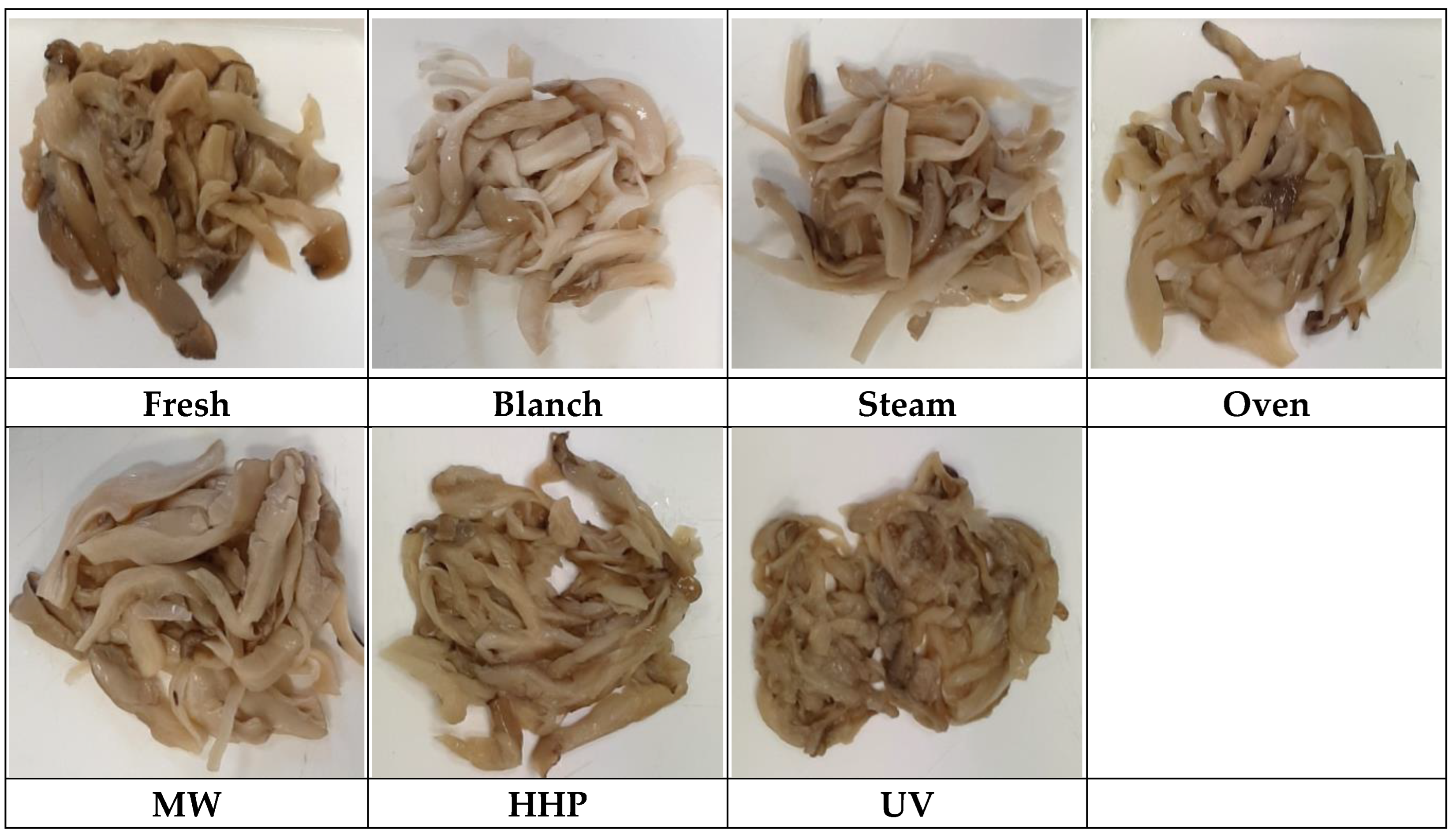 Applsci 15 03509 g002