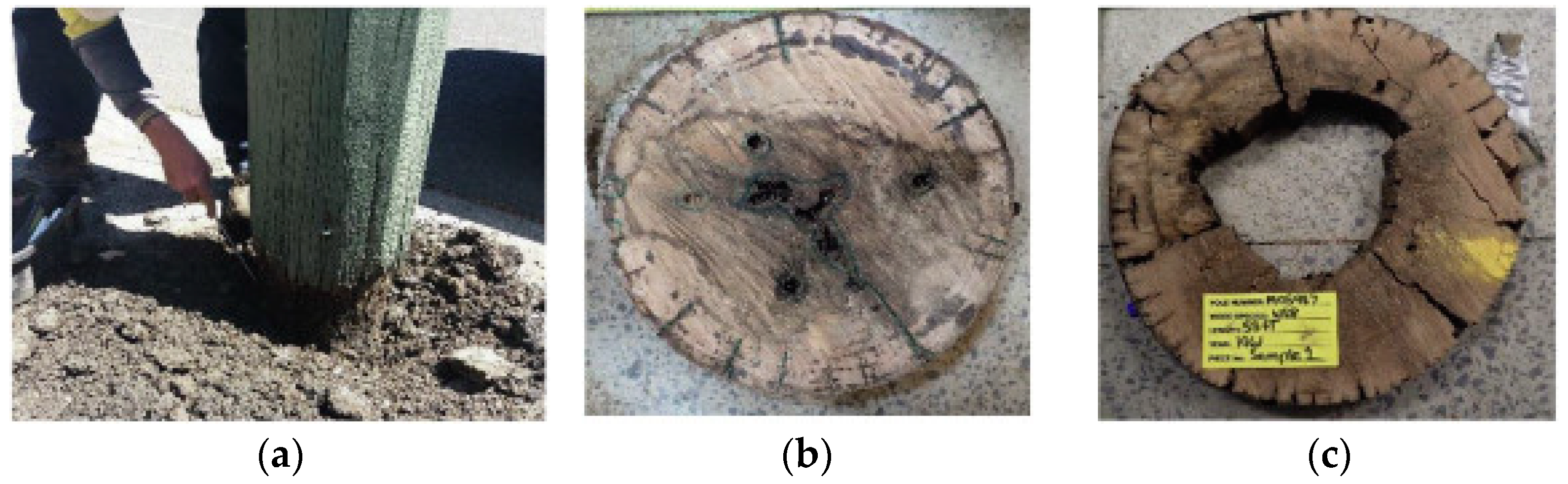 Applsci 15 03527 g003 Applsci 15 03527 g003