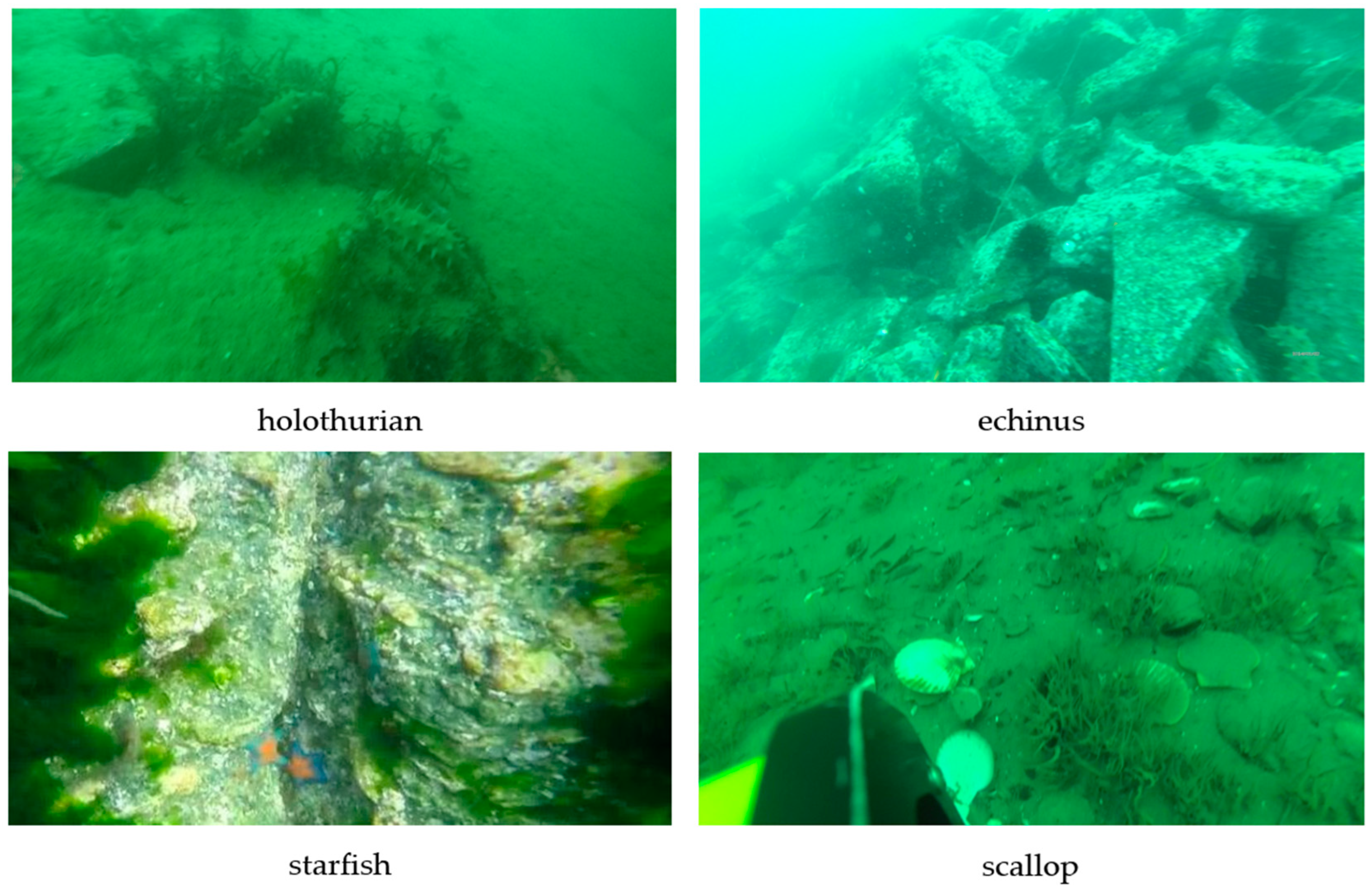 Applsci 15 03537 g007