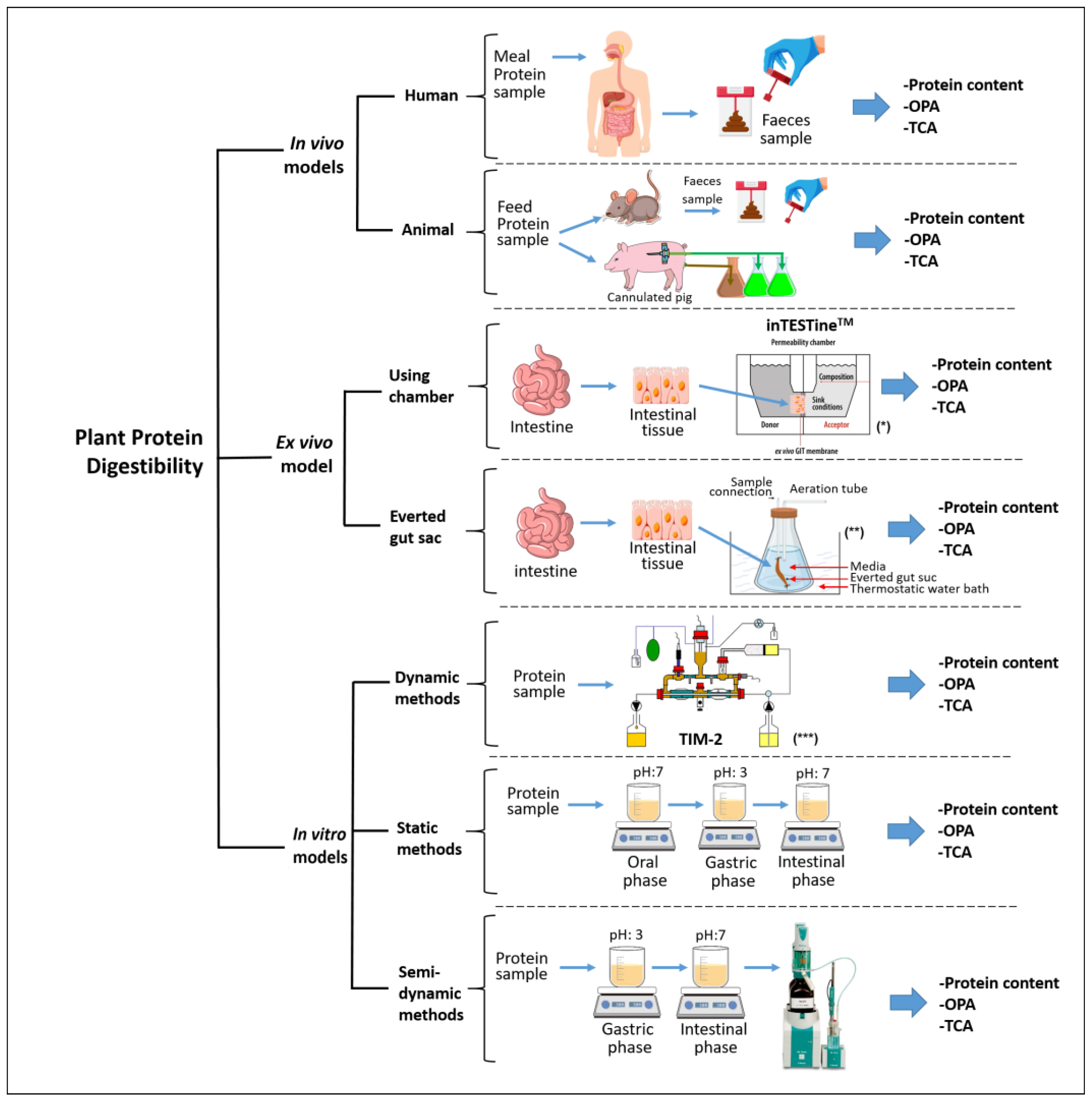 Applsci 15 03538 g001 Applsci 15 03538 g001