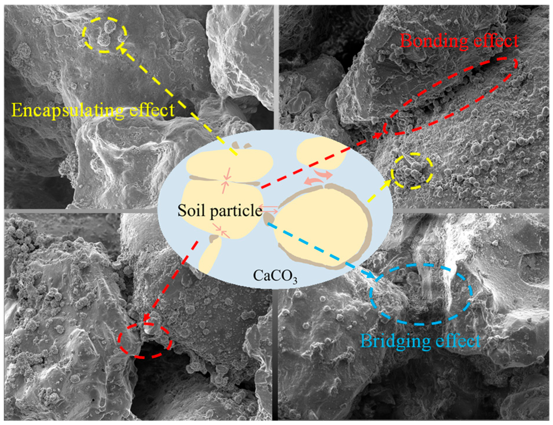 Applsci 15 03558 g010