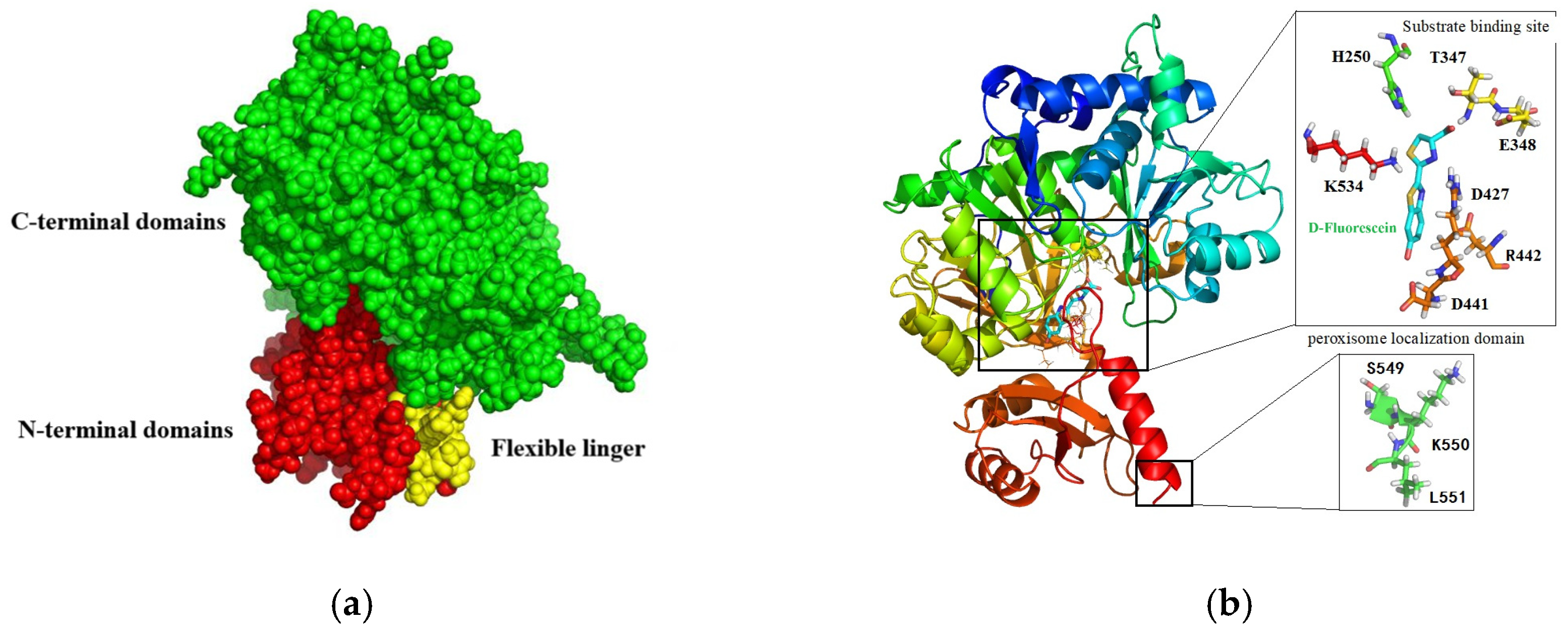 Applsci 15 03563 g001