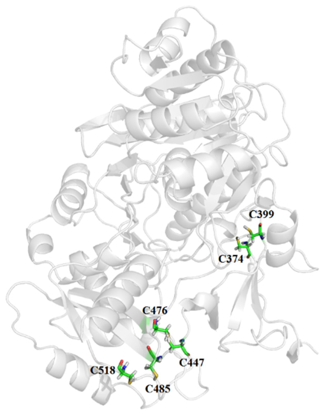 Applsci 15 03563 g002