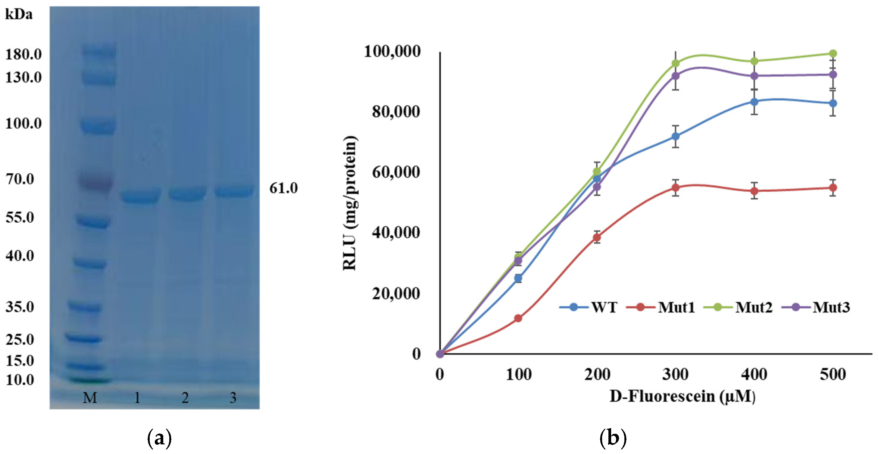 Applsci 15 03563 g003