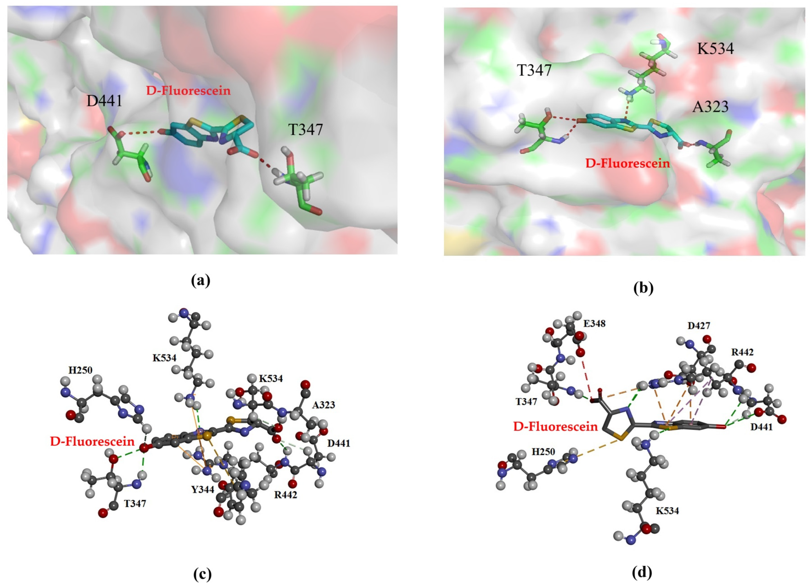 Applsci 15 03563 g006