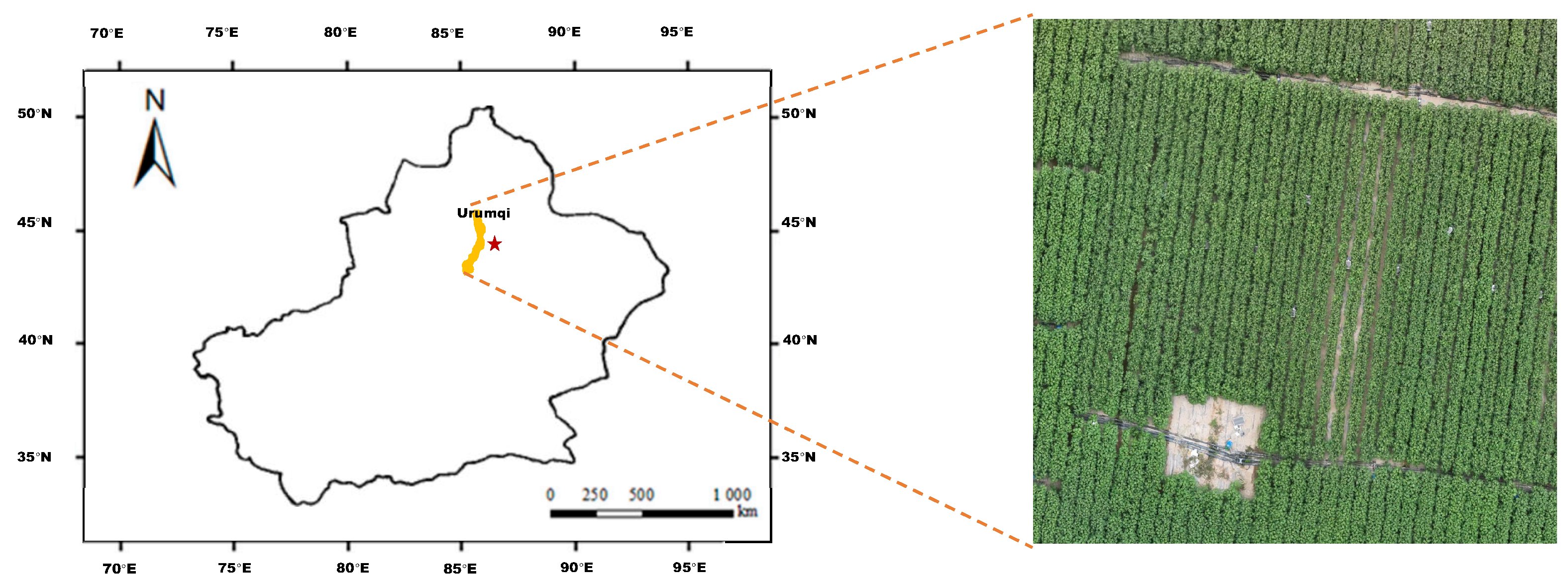 Applsci 15 03580 g001