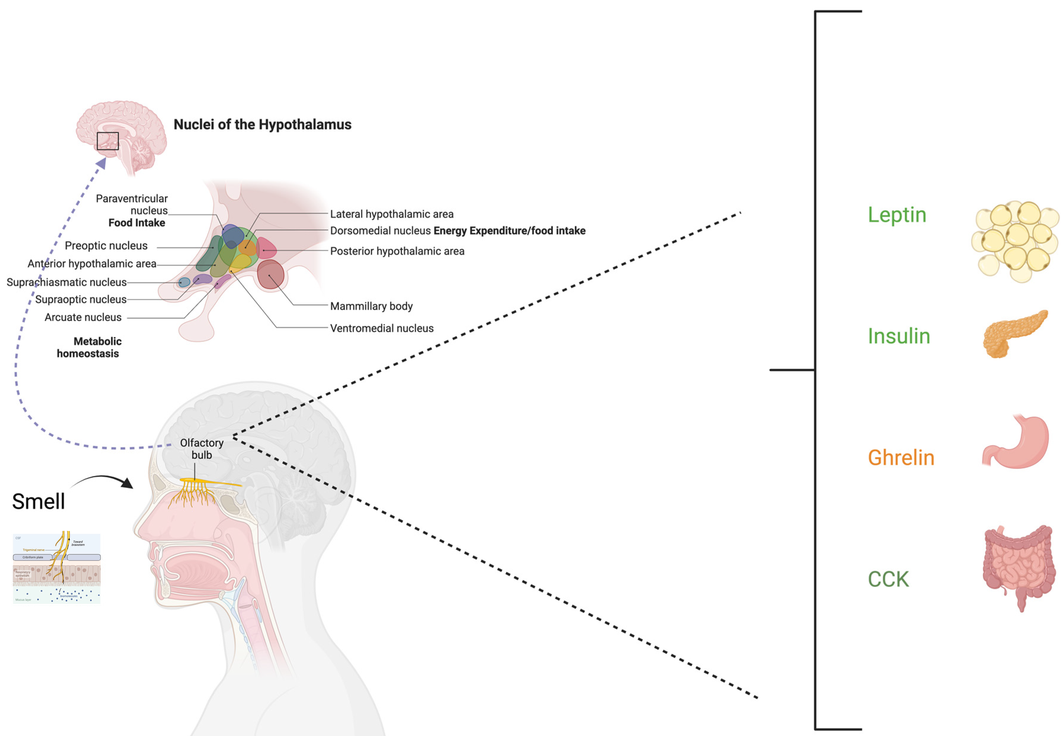 Applsci 15 03590 g002