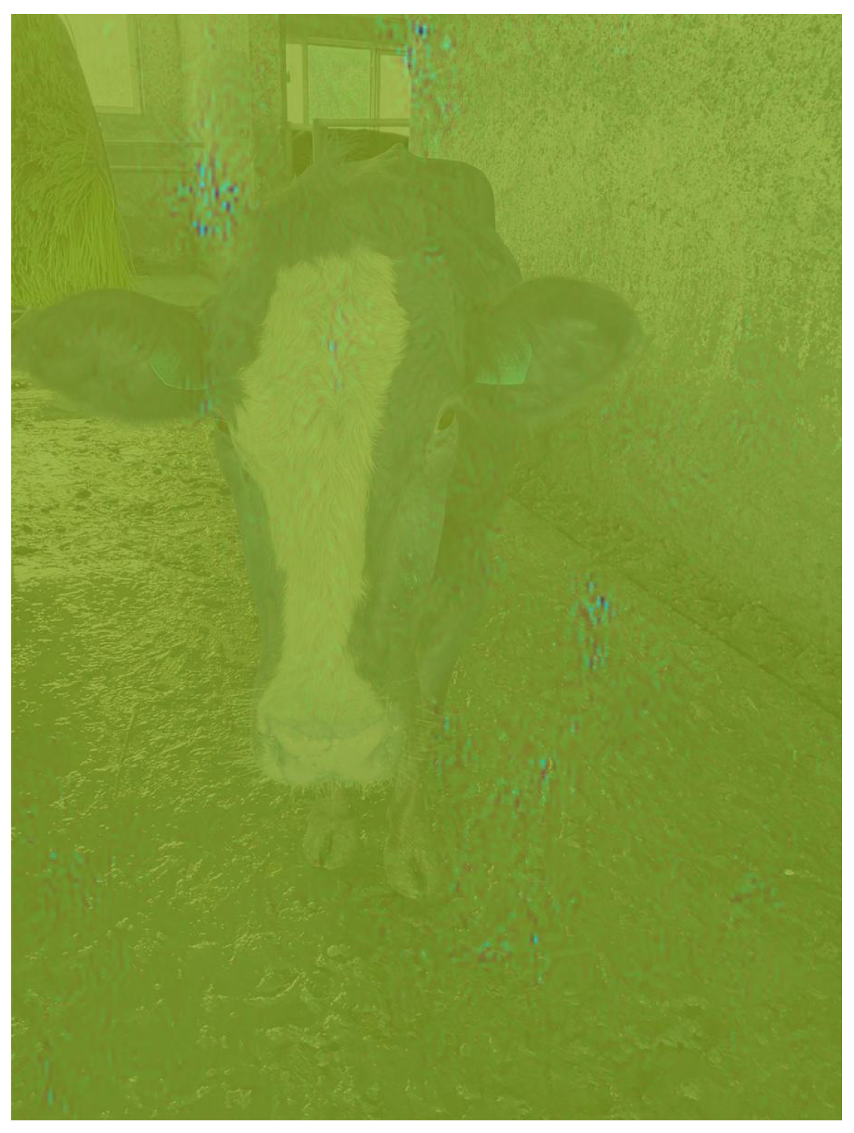 Applsci 15 03622 g002