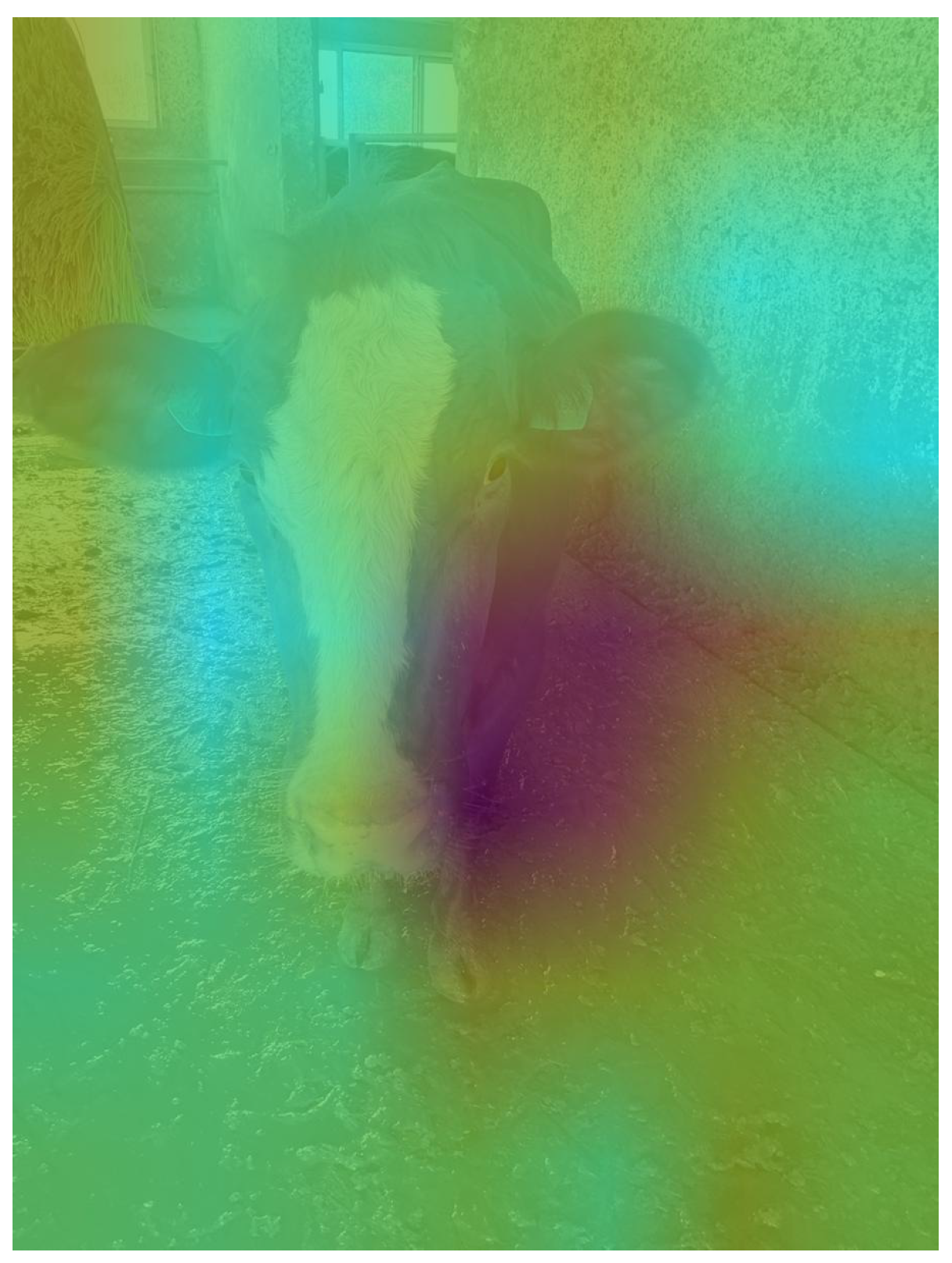 Applsci 15 03622 g003