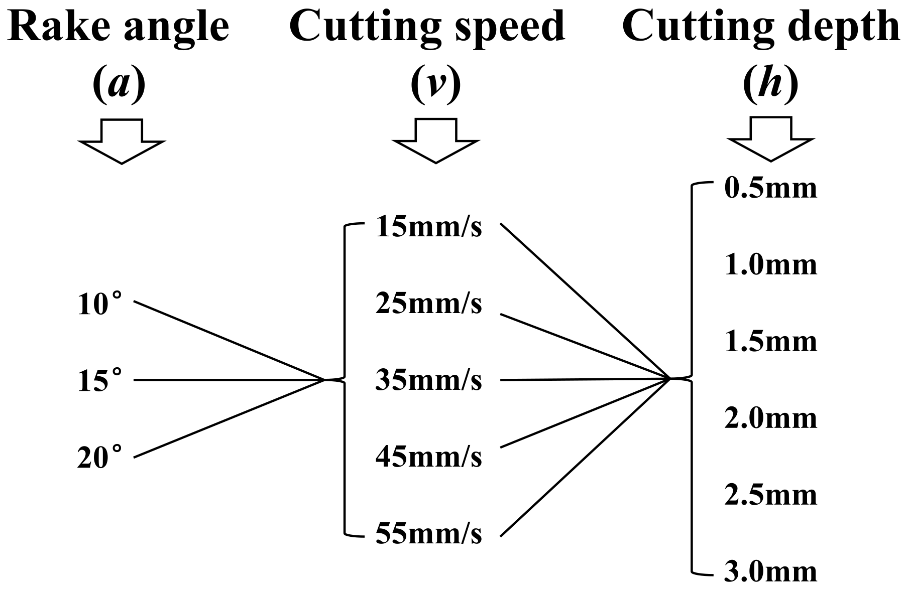 Applsci 15 03630 g007