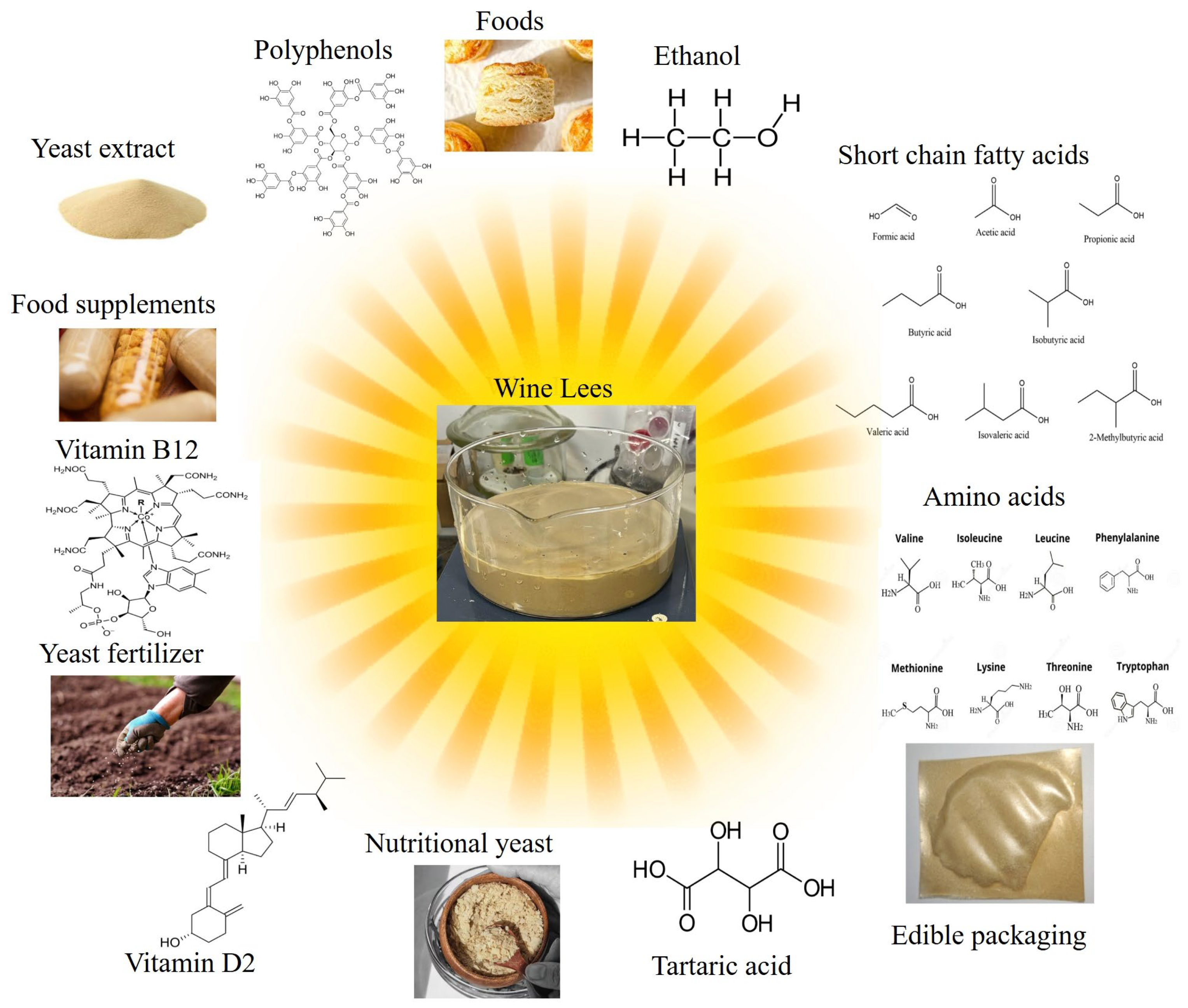 Applsci 15 03648 g001