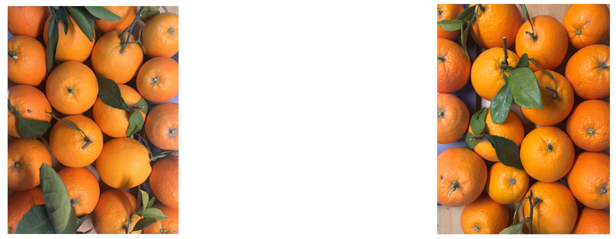 Applsci 15 03667 g012