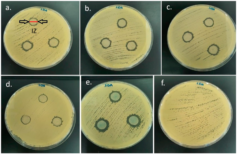 Applsci 15 03704 g002 Applsci 15 03704 g002