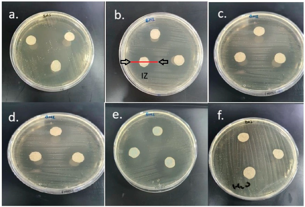 Applsci 15 03704 g003 Applsci 15 03704 g003