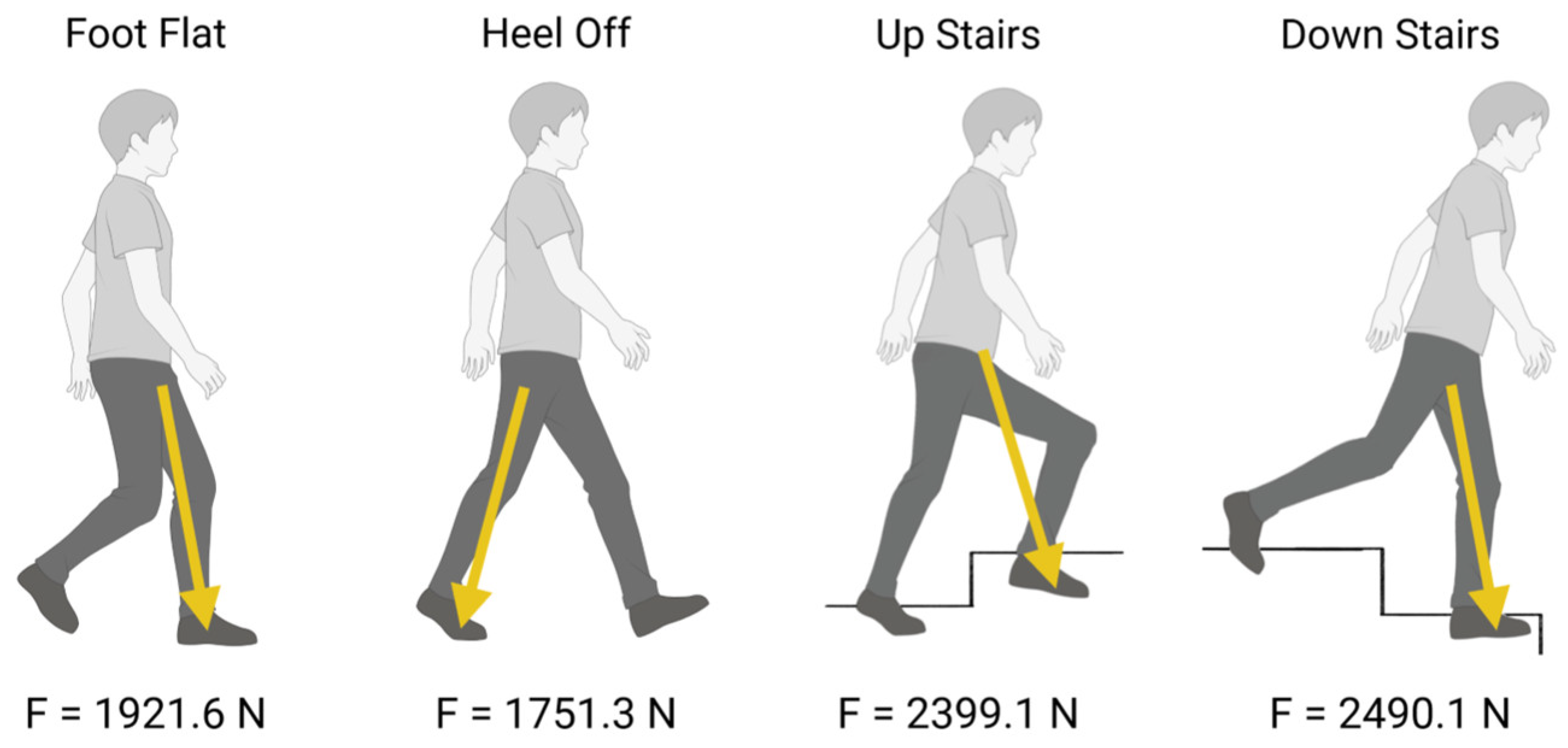 Applsci 15 03722 g007