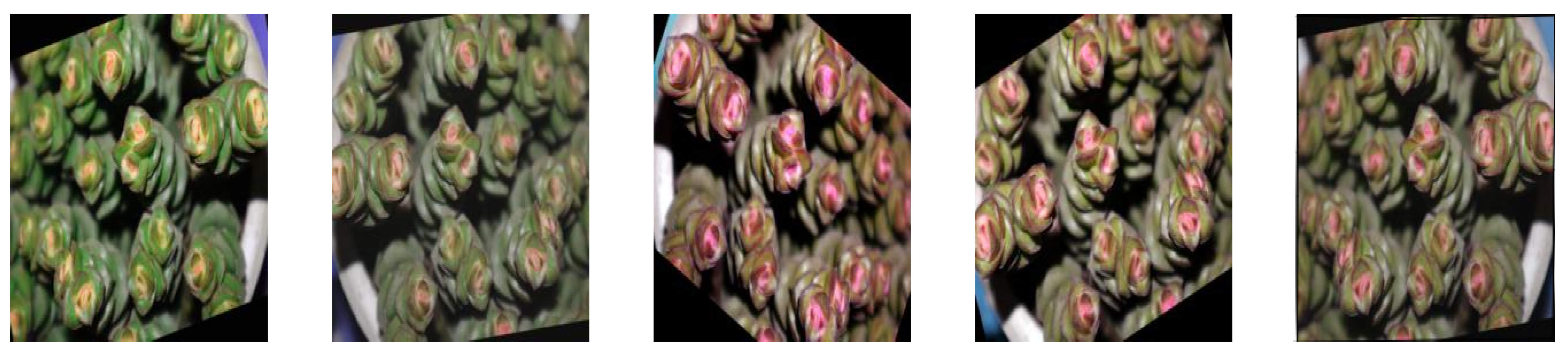 Applsci 15 03730 g007