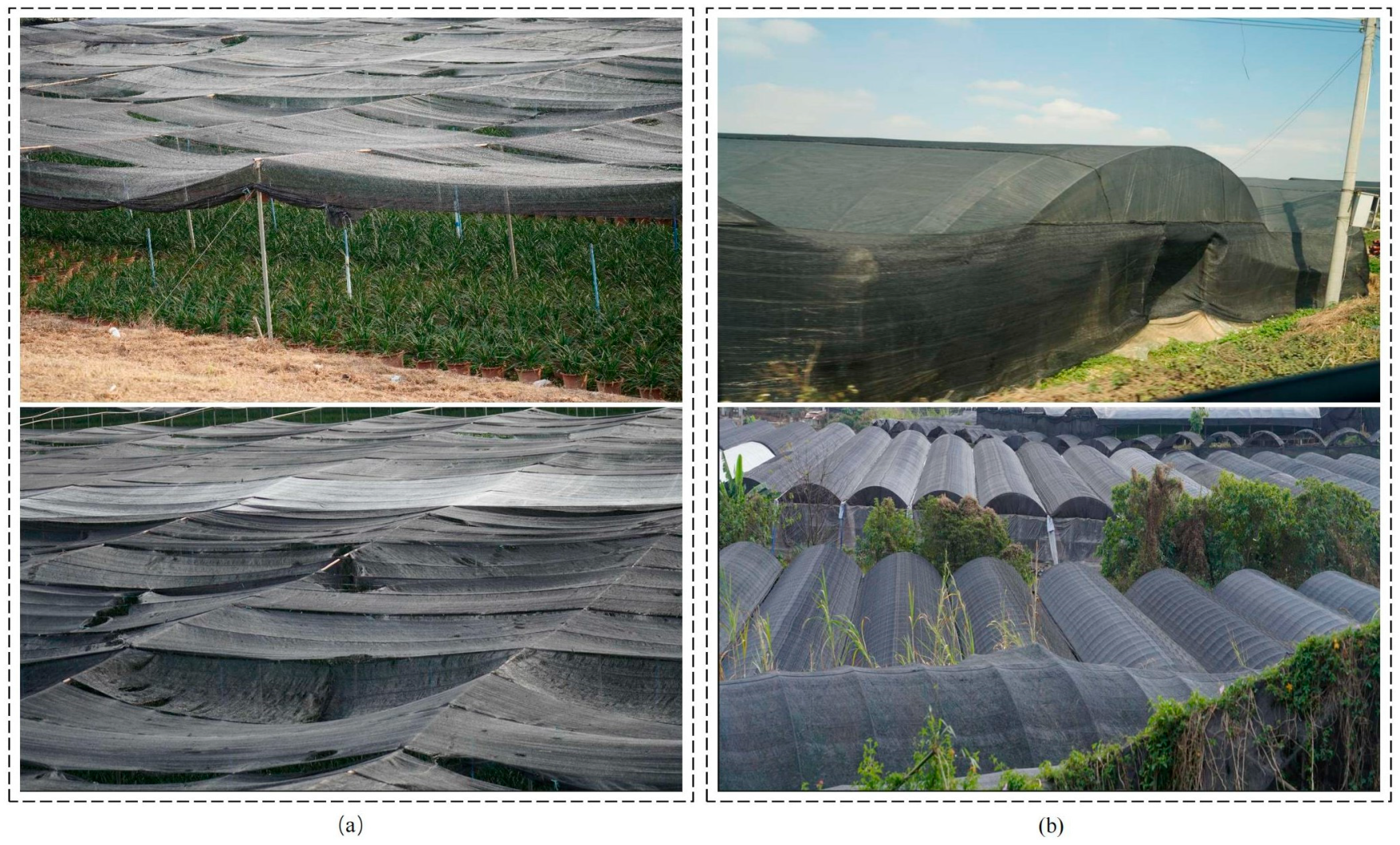 Applsci 15 03735 g002