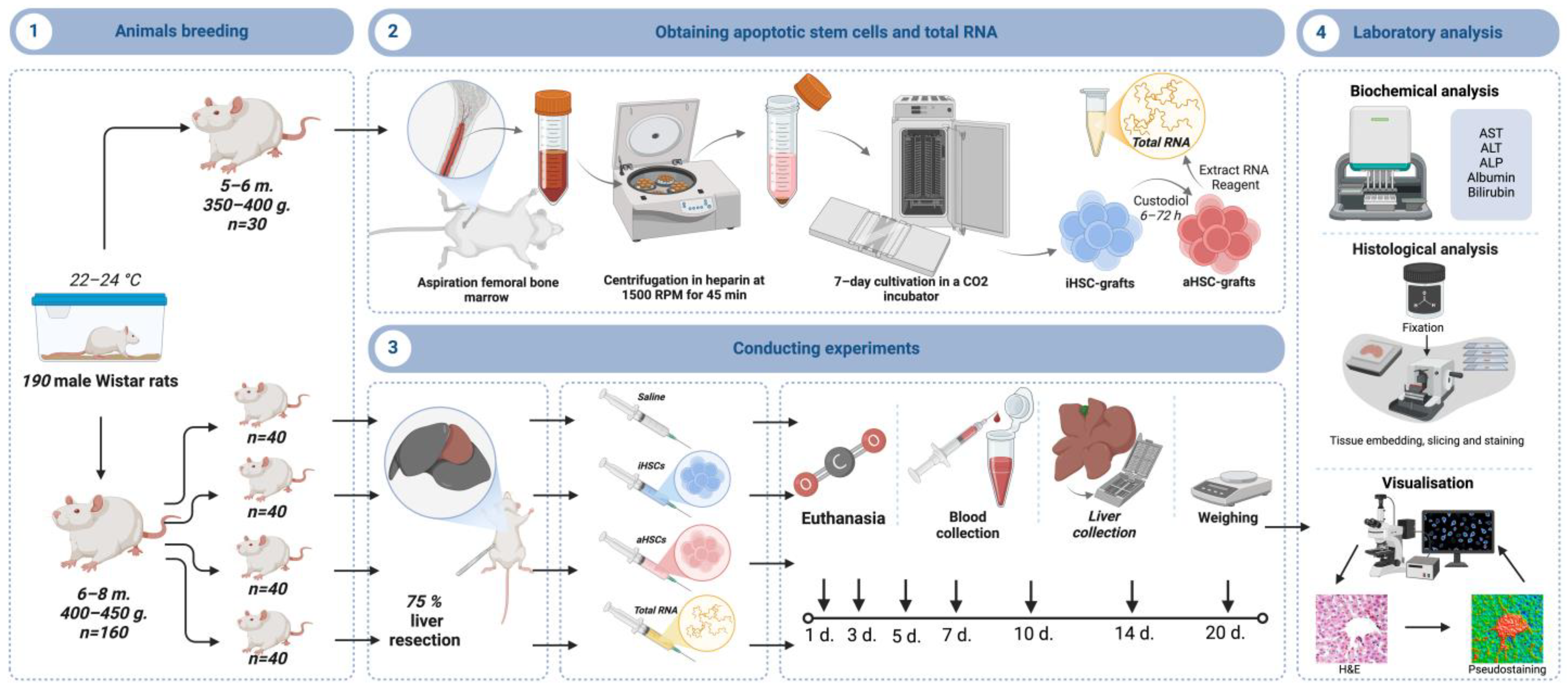 Applsci 15 03782 g001