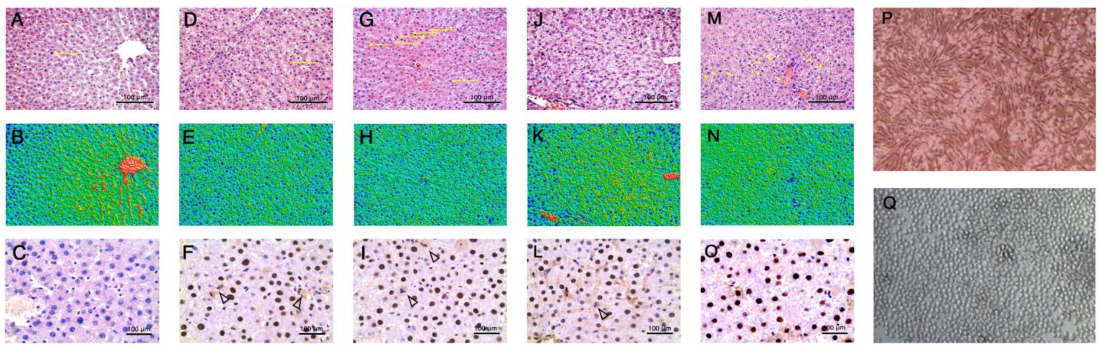 Applsci 15 03782 g002