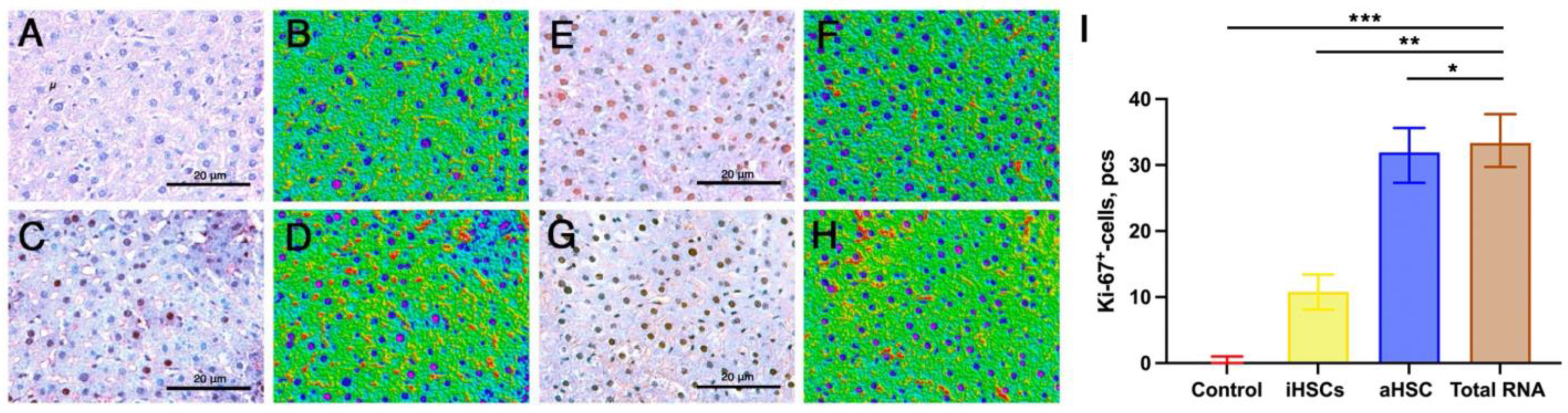 Applsci 15 03782 g005