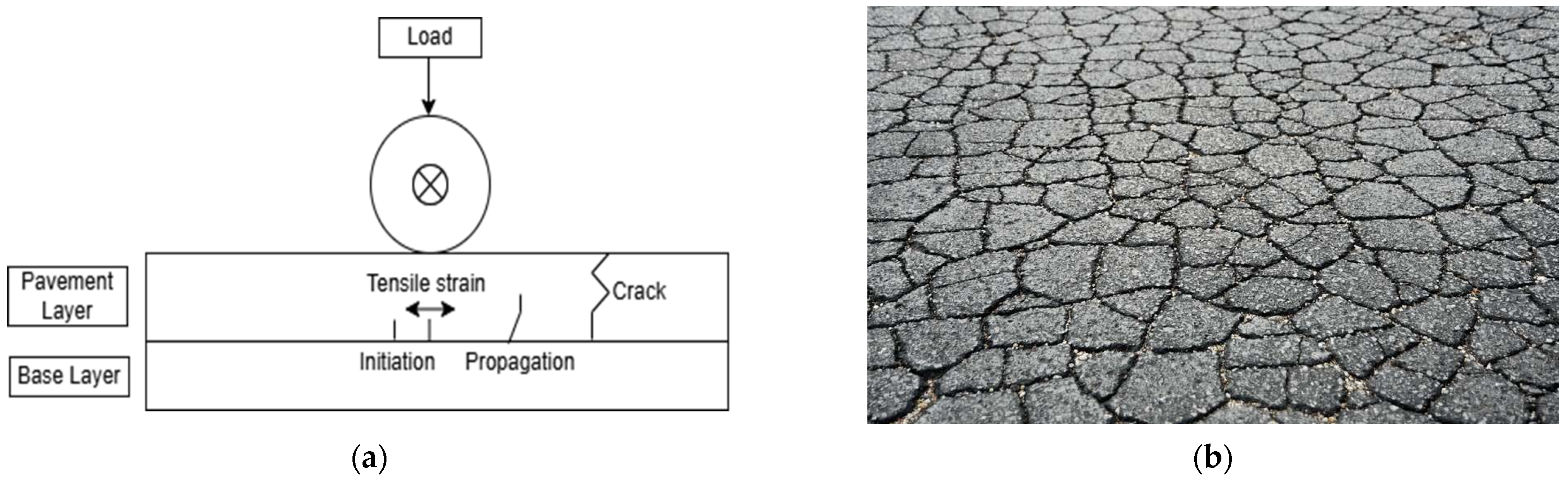 Applsci 15 03799 g001