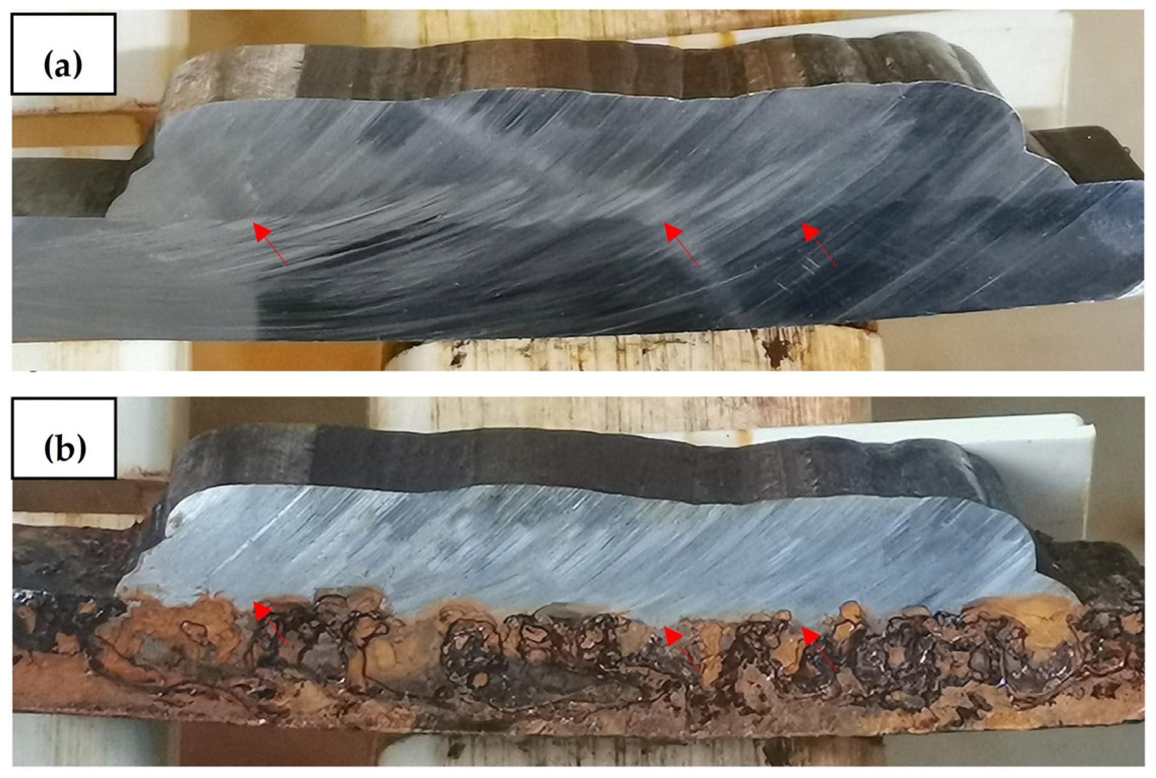 Applsci 15 03832 g013