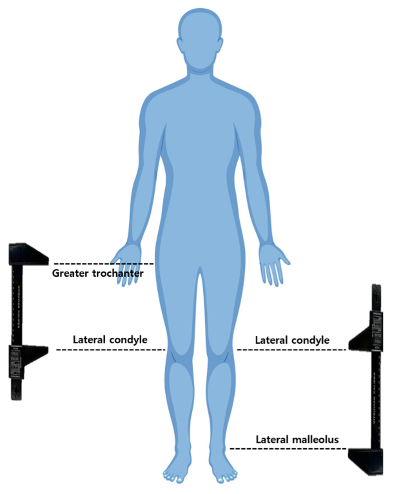 Applsci 15 03836 g001