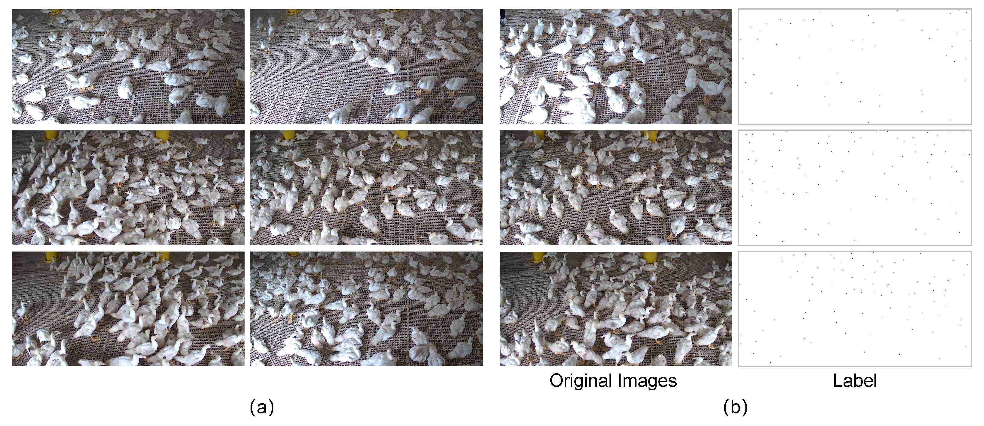 Applsci 15 03840 g001