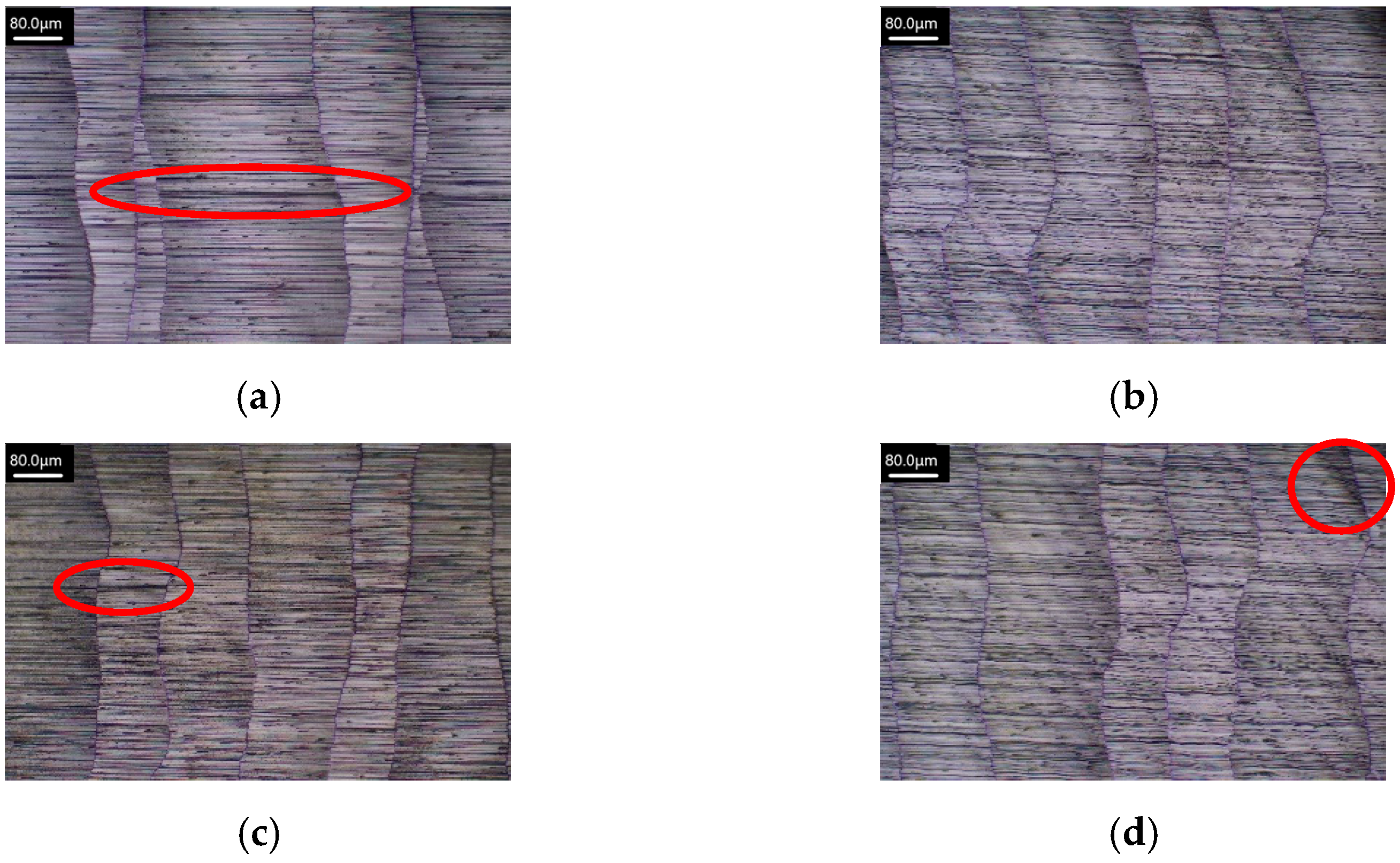 Applsci 15 03848 g016