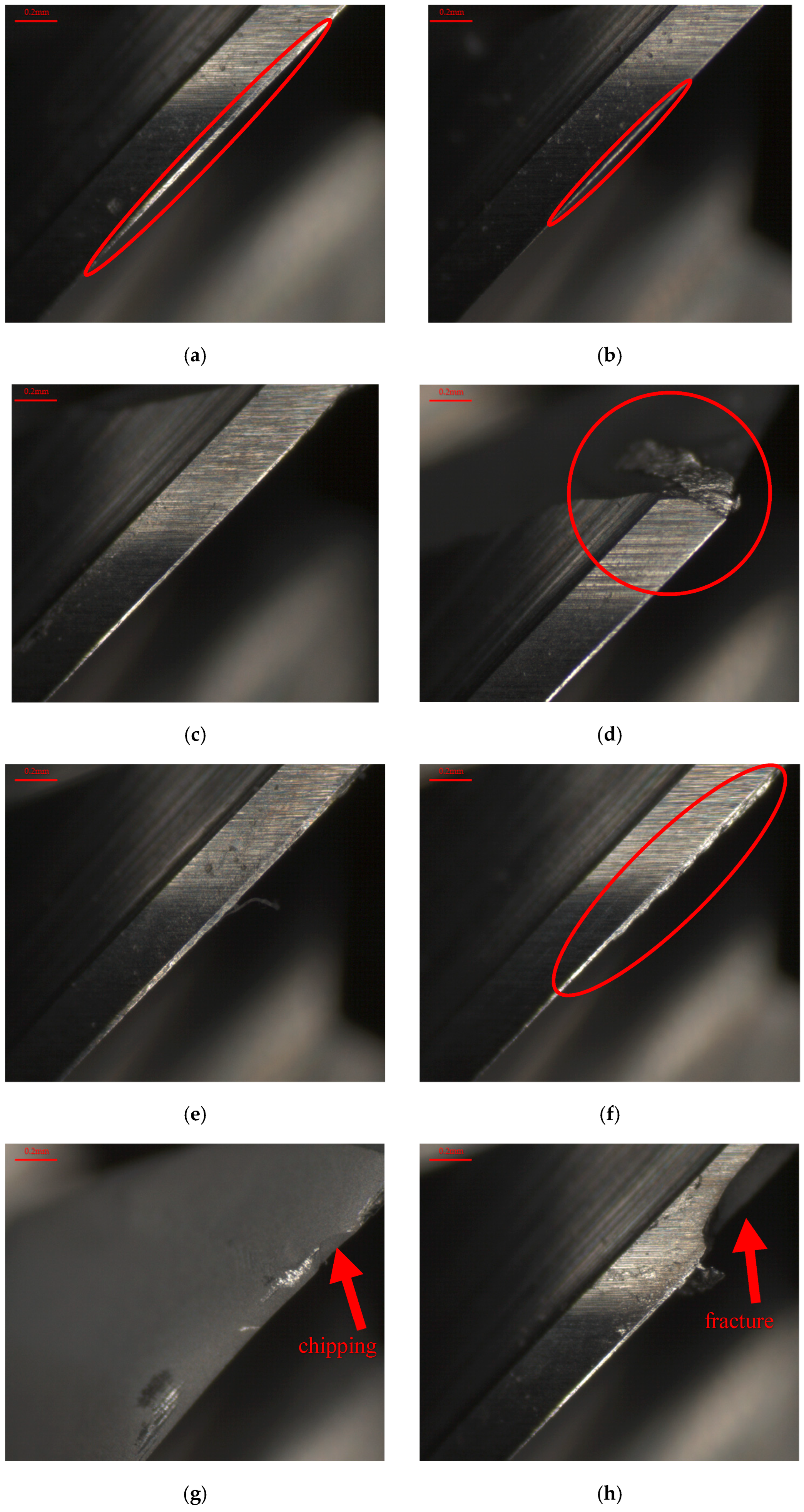 Applsci 15 03848 g023a