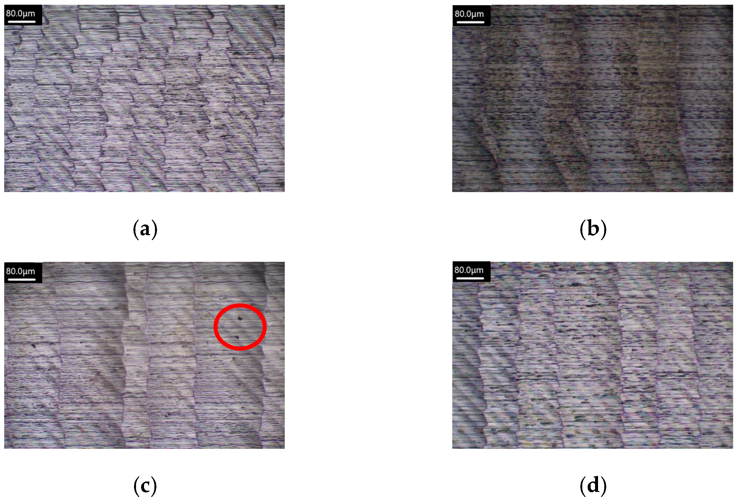 Applsci 15 03848 g025a