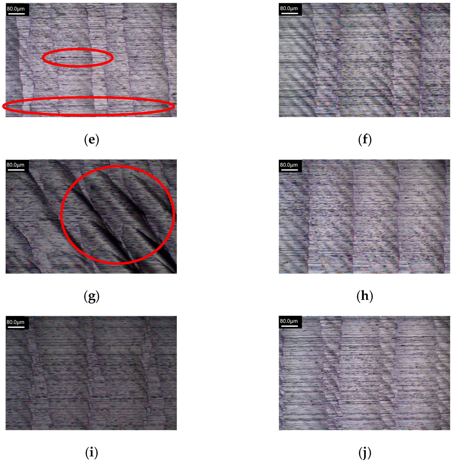 Applsci 15 03848 g025b