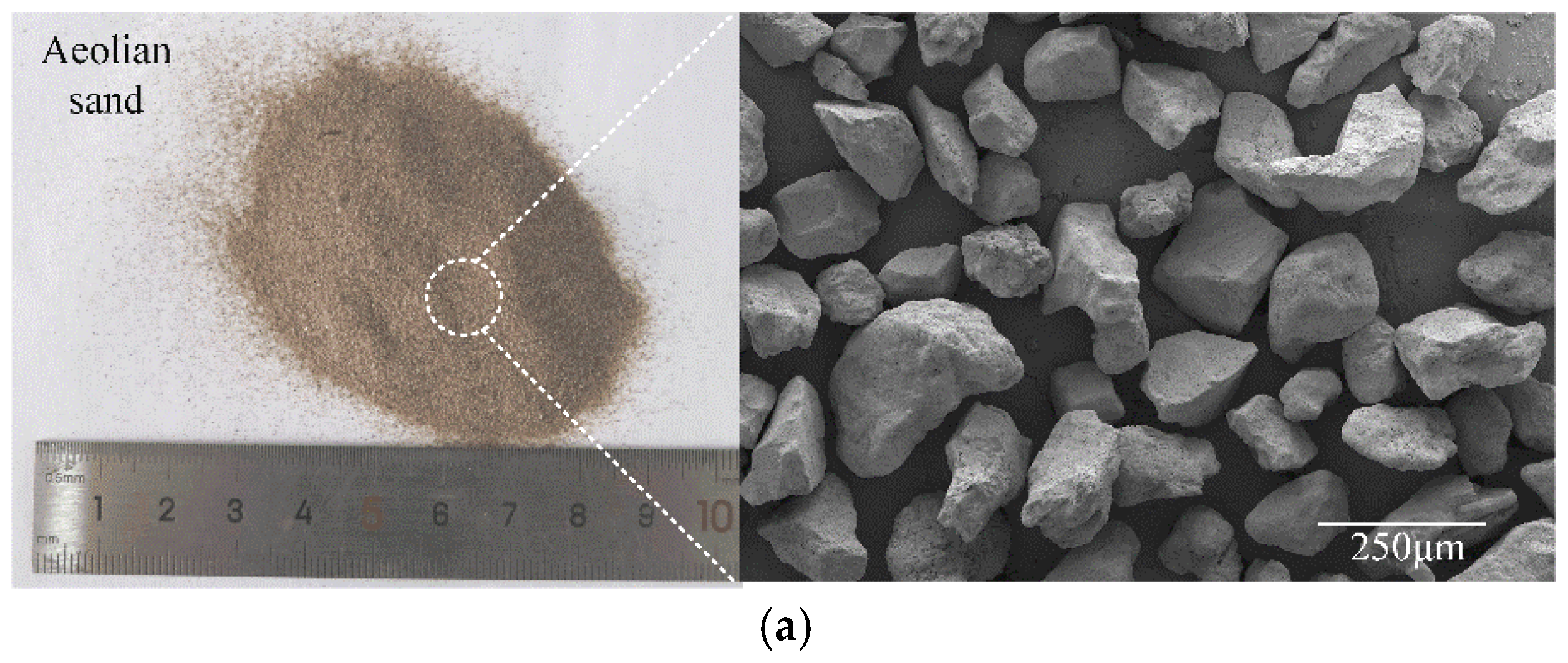 ② Synergistic Preparation and Mechanistic Investigation of