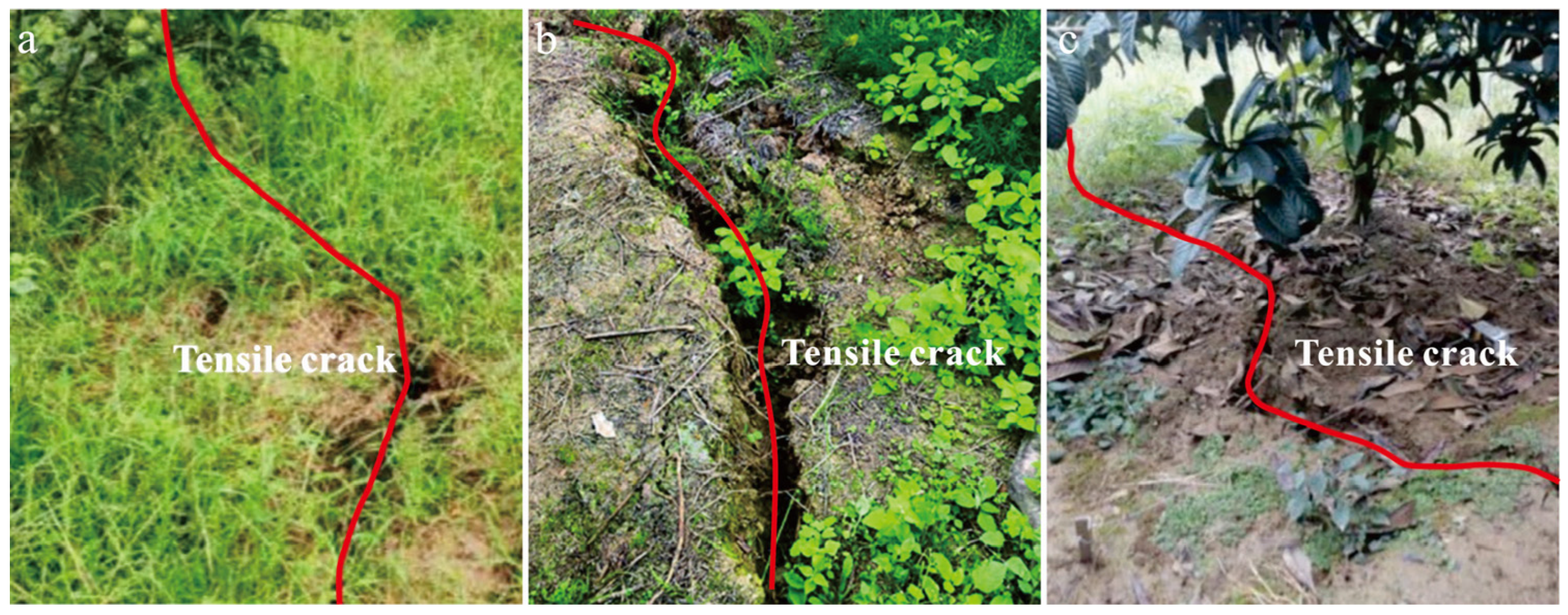 Applsci 15 03872 g004