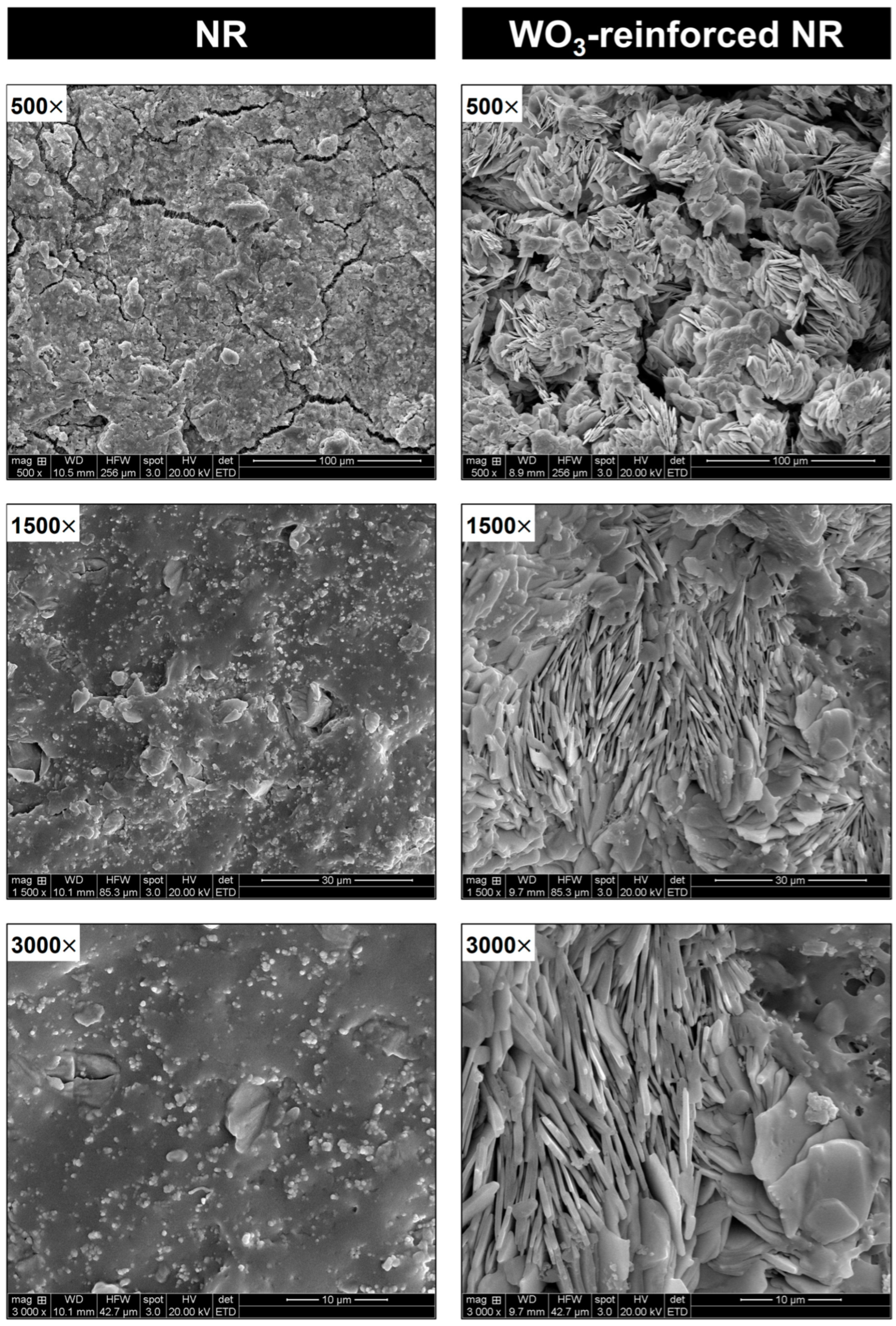 Applsci 15 03892 g003