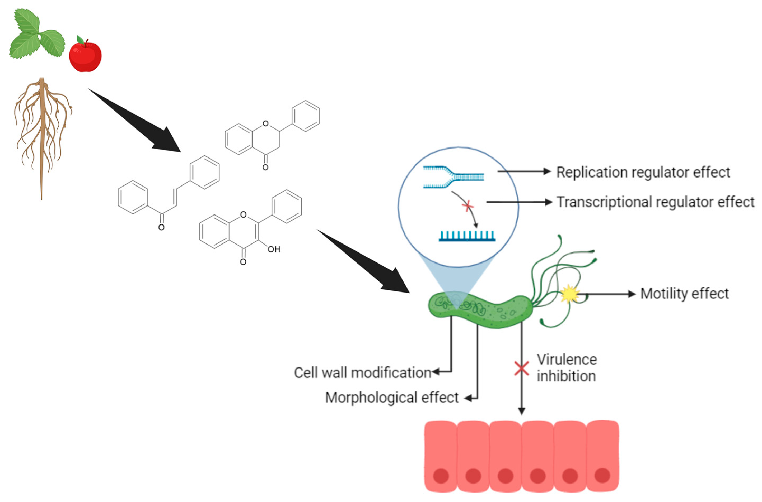 Applsci 15 03936 g004