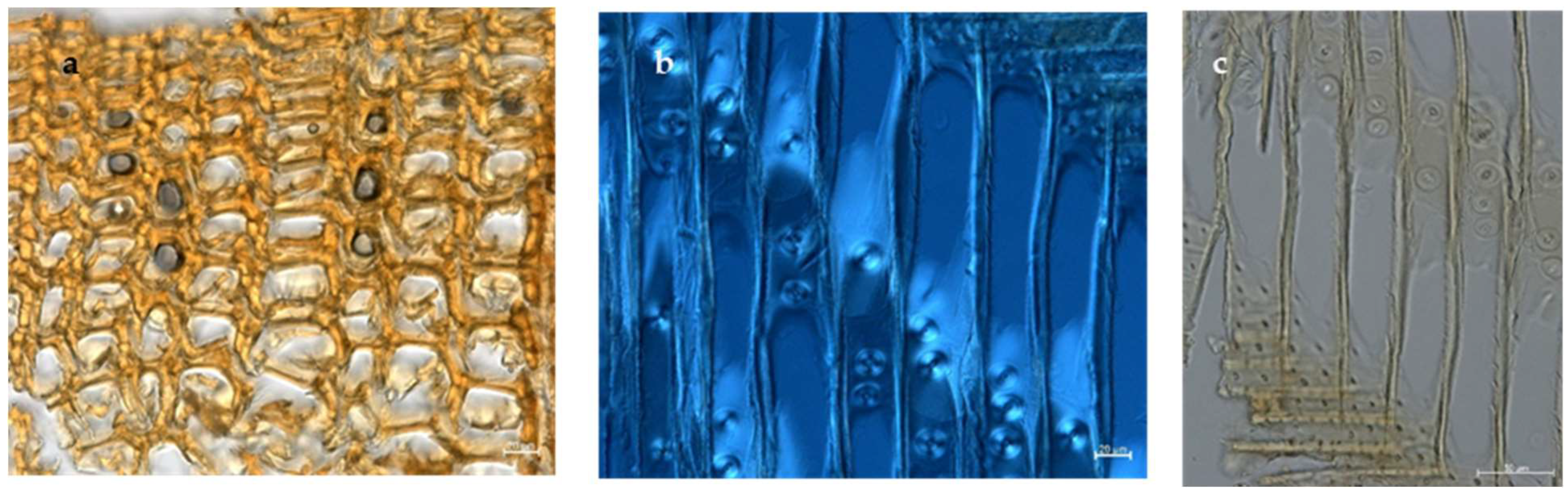 Applsci 15 03952 g003