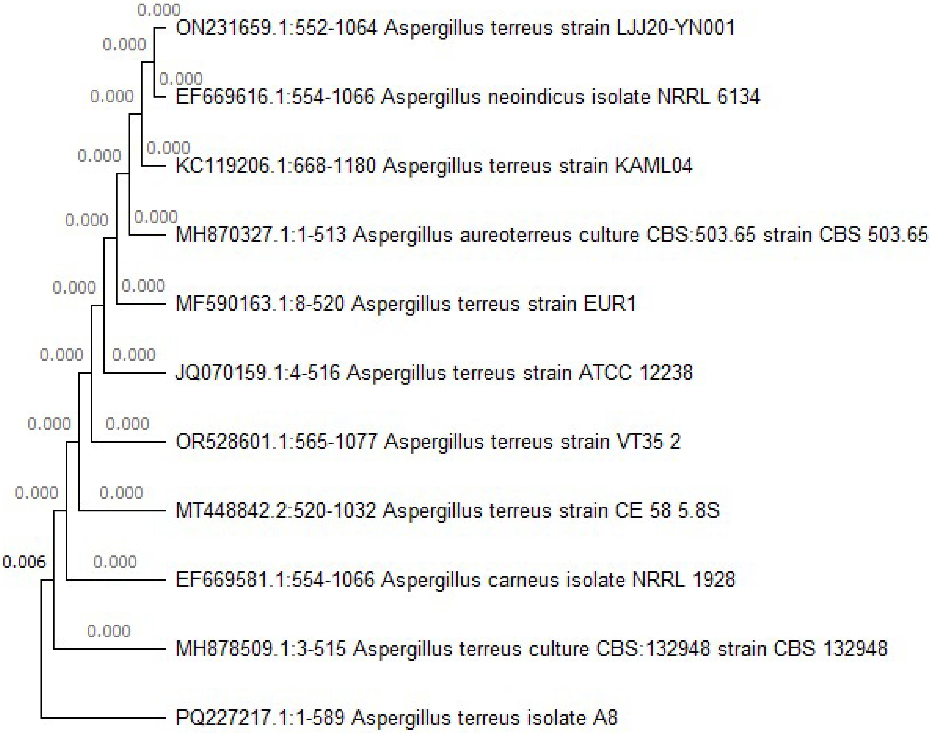 Applsci 15 03952 g007