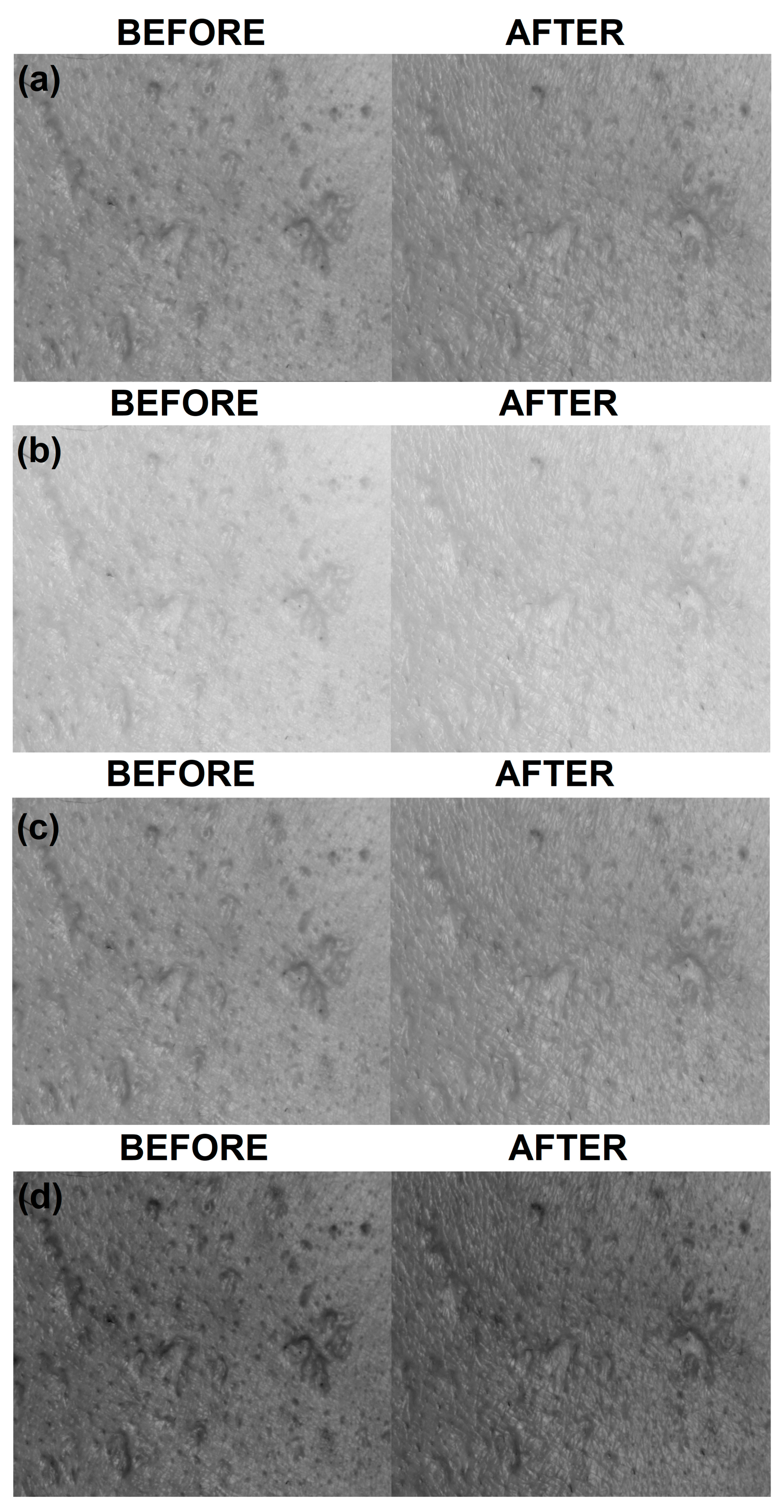 Applsci 15 03954 g002