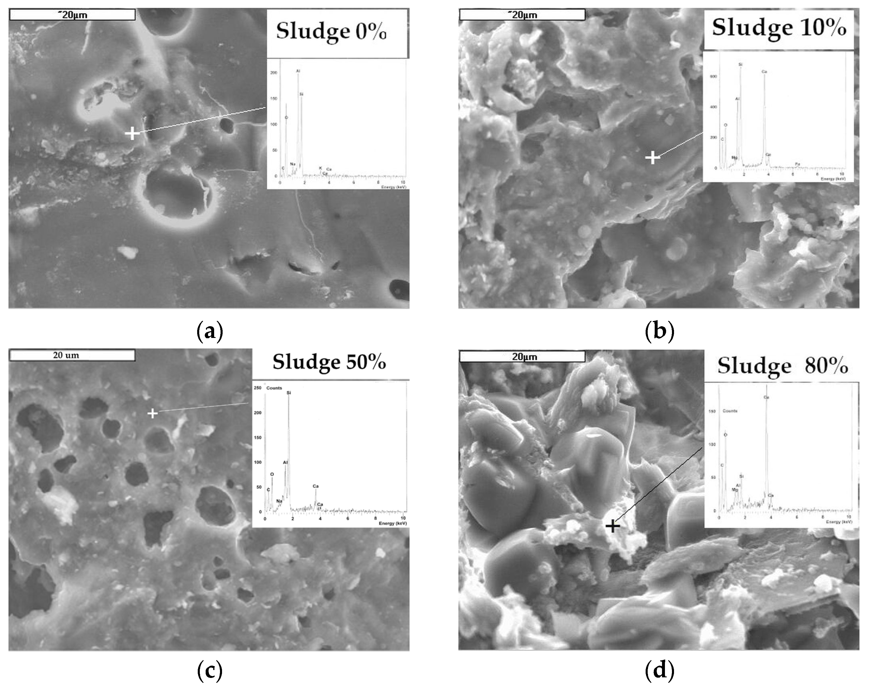 Applsci 15 03957 g006 Applsci 15 03957 g006