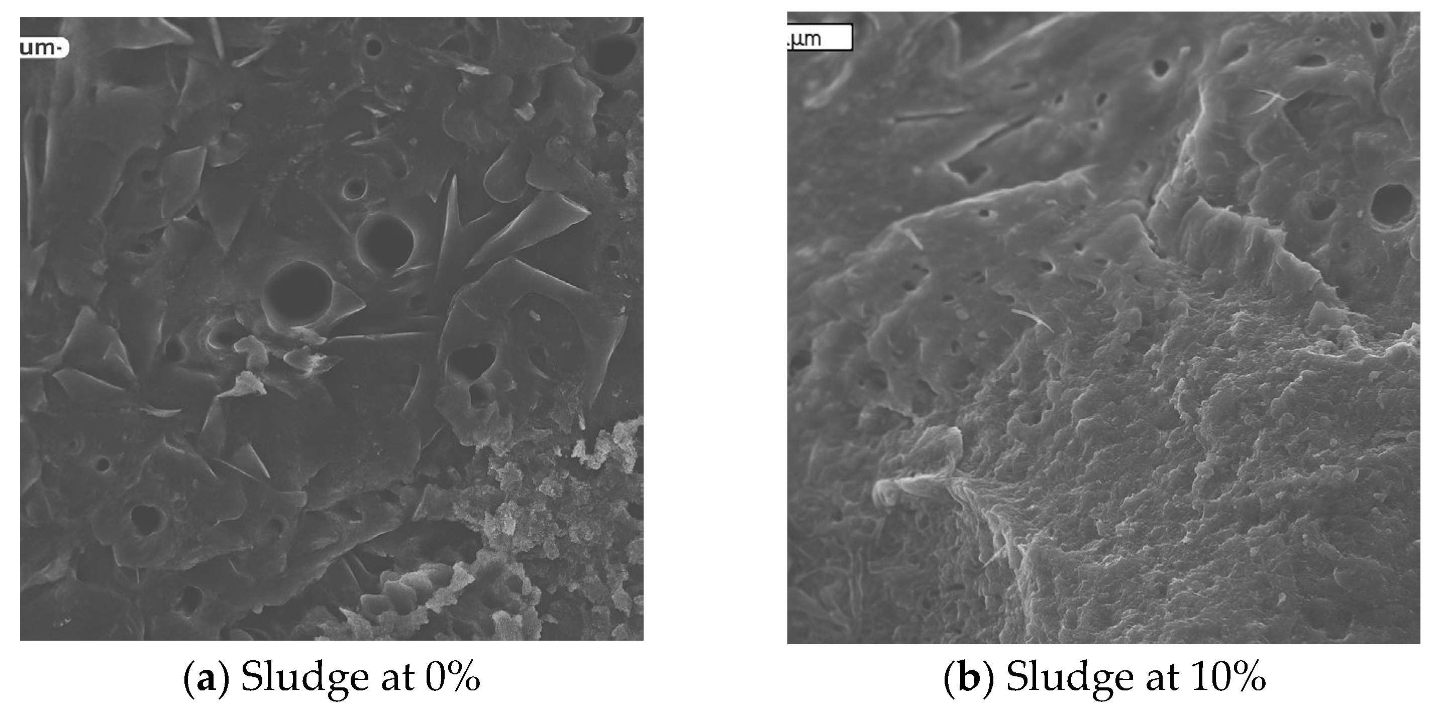 Applsci 15 03957 g007a Applsci 15 03957 g007a