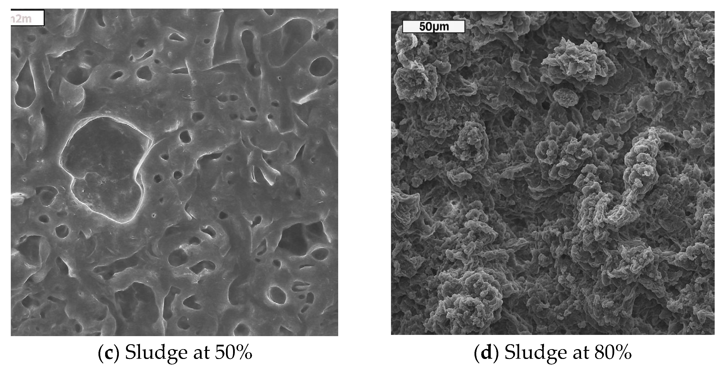 Applsci 15 03957 g007b Applsci 15 03957 g007b