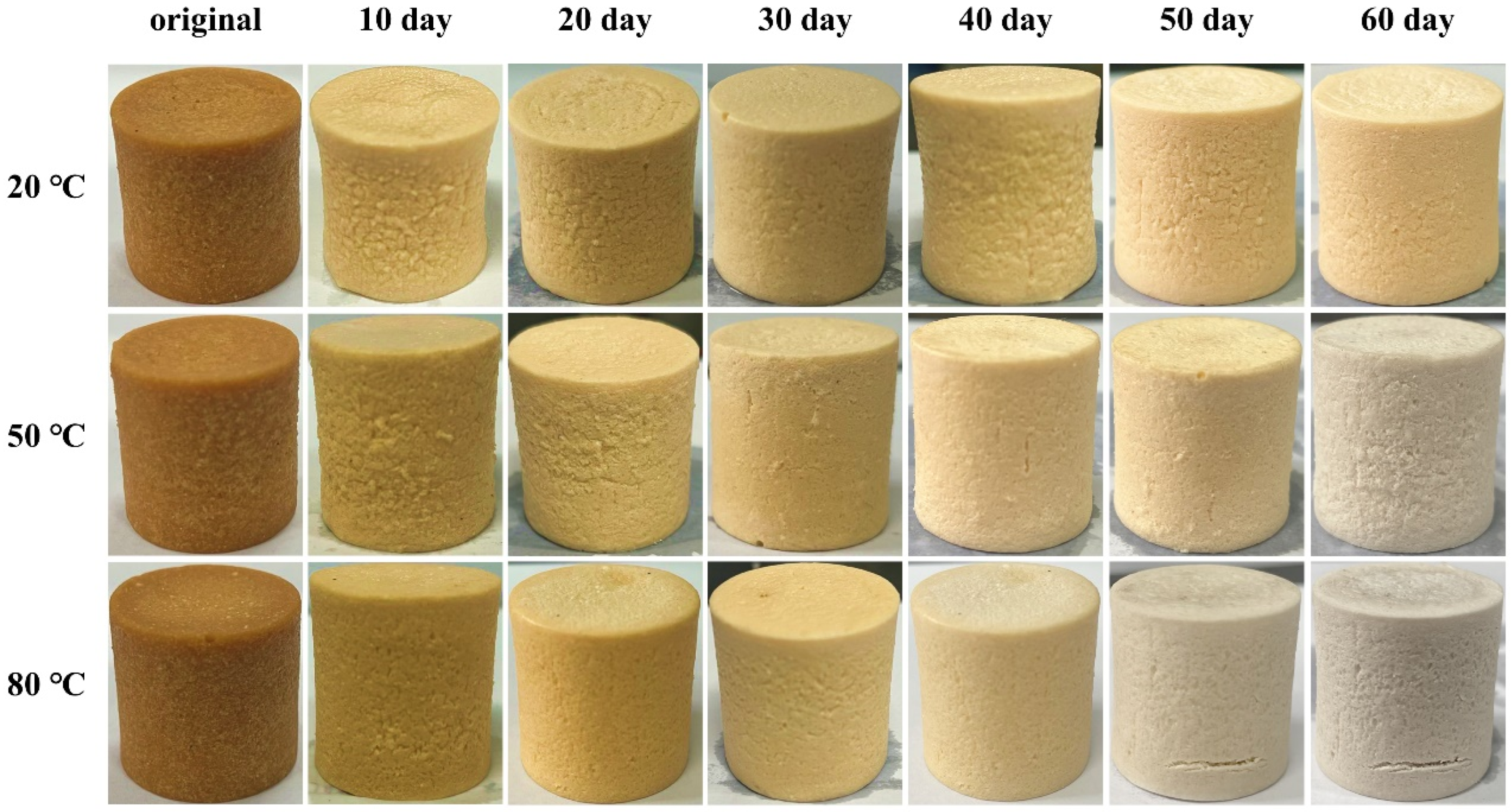 Applsci 15 03964 g011