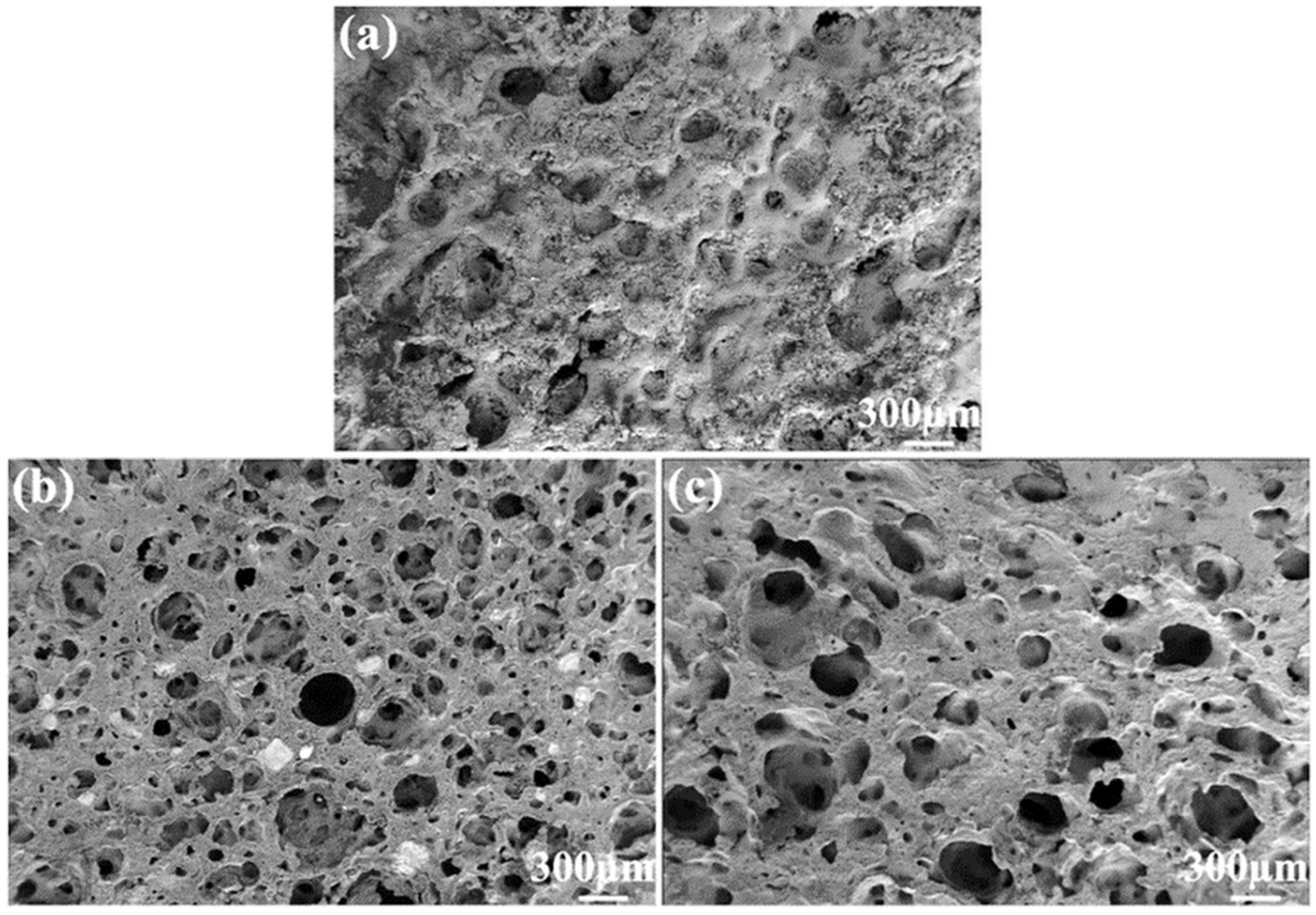 Applsci 15 03964 g012