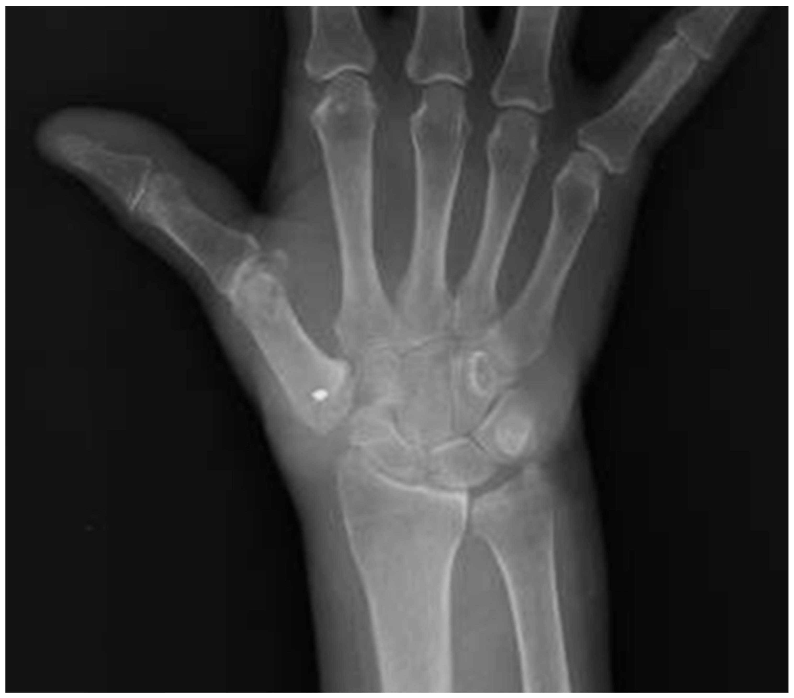 Applsci 15 03967 g002