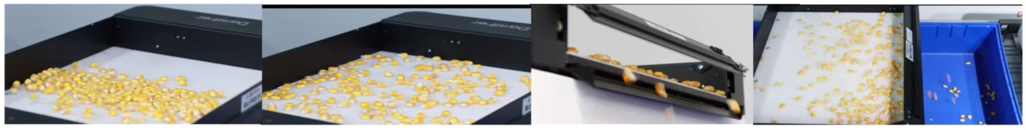 Applsci 15 03968 g006